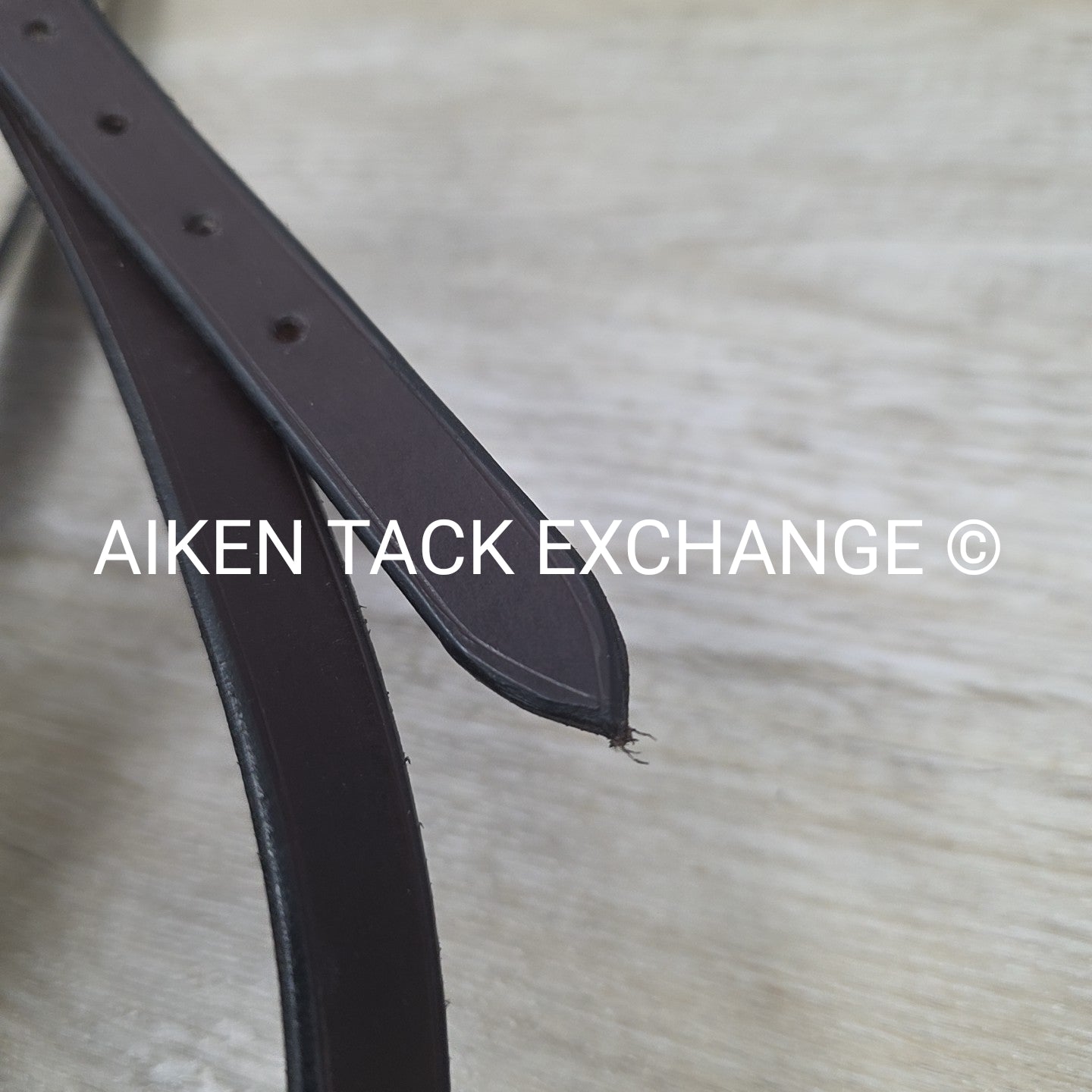 Standing Martingale, Made in England, Brown, Size Full