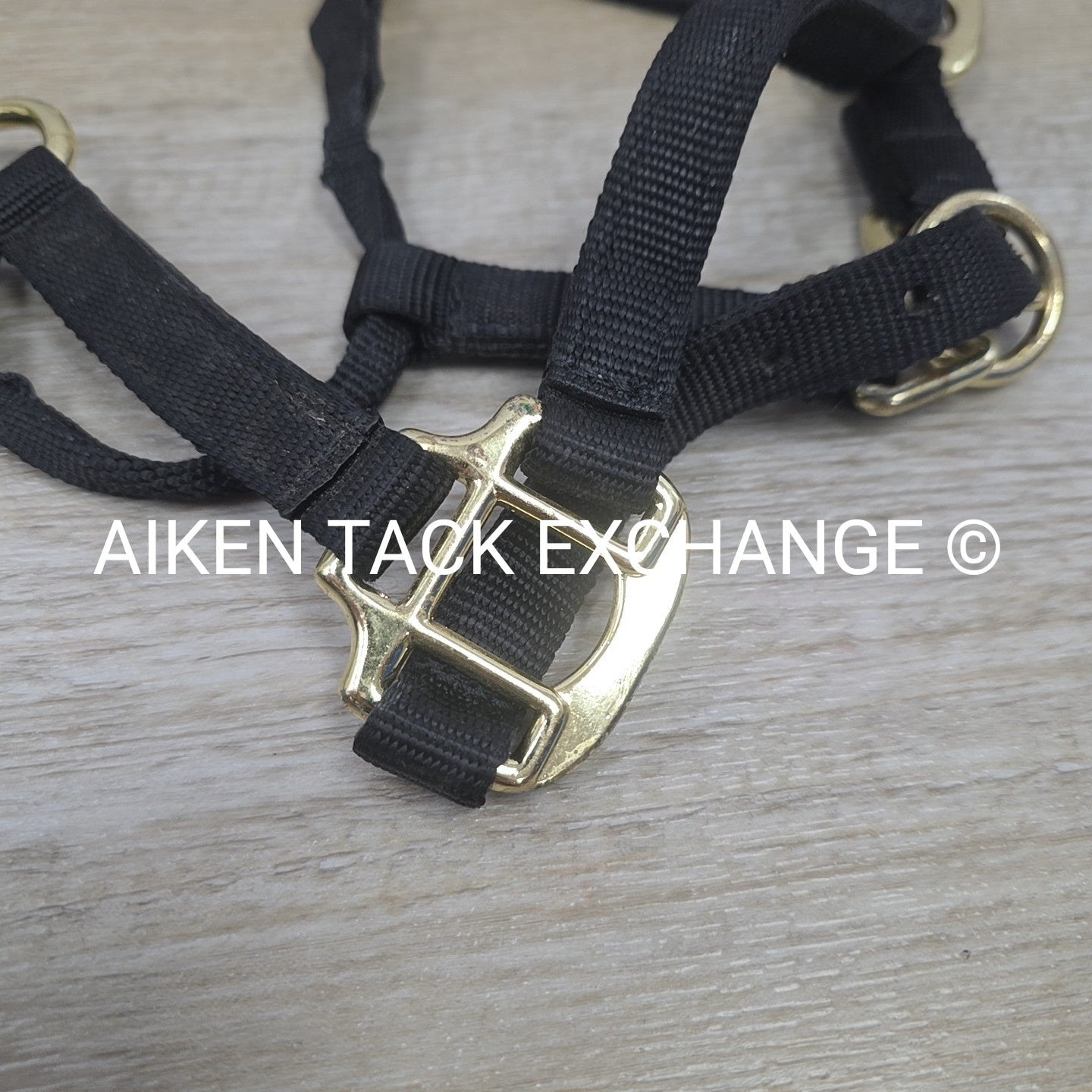 BARGAIN BUNDLE: 2 Nylon Breakaway Halters, Size Weanling / Pony