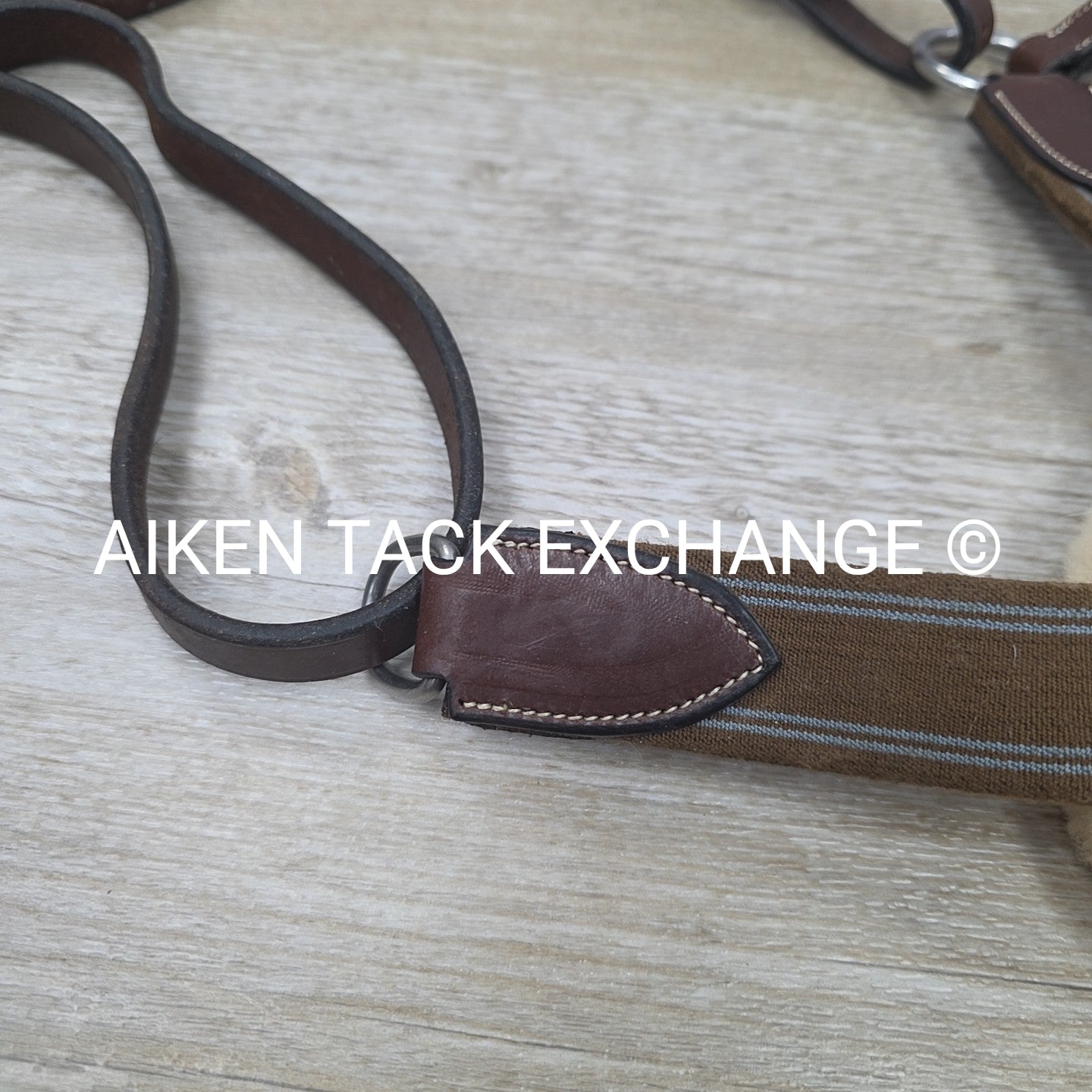 5 Point Elastic Breastplate, Brown, Size Cob