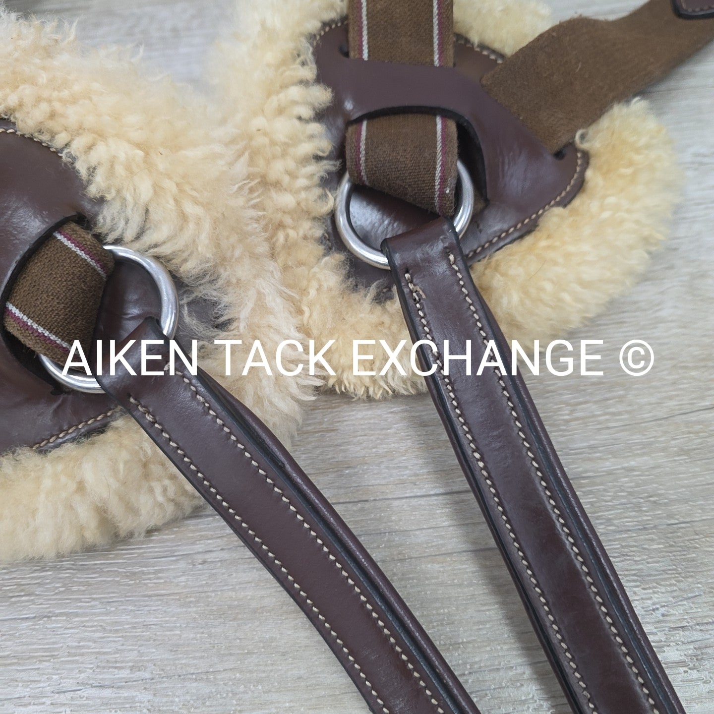 HDR Pro 5 Point Elastic Breastplate, Brown, Size Full