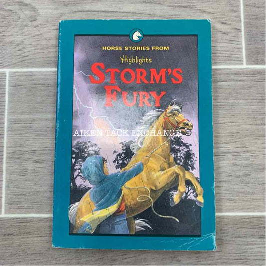 Storm's Fury by Highlights