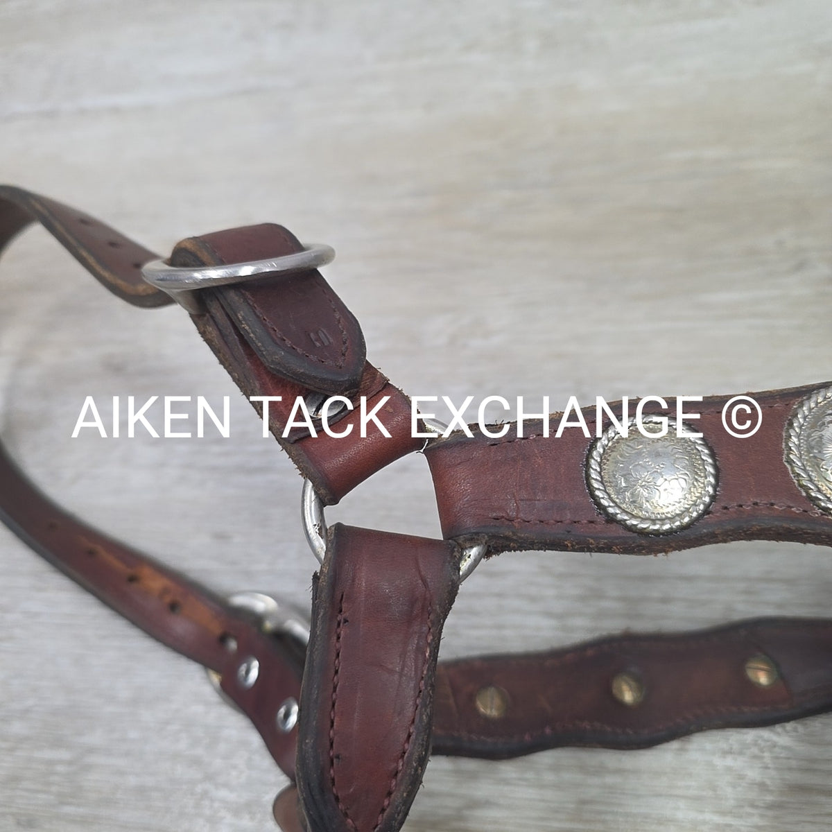 Western Show Halter, Size Full
