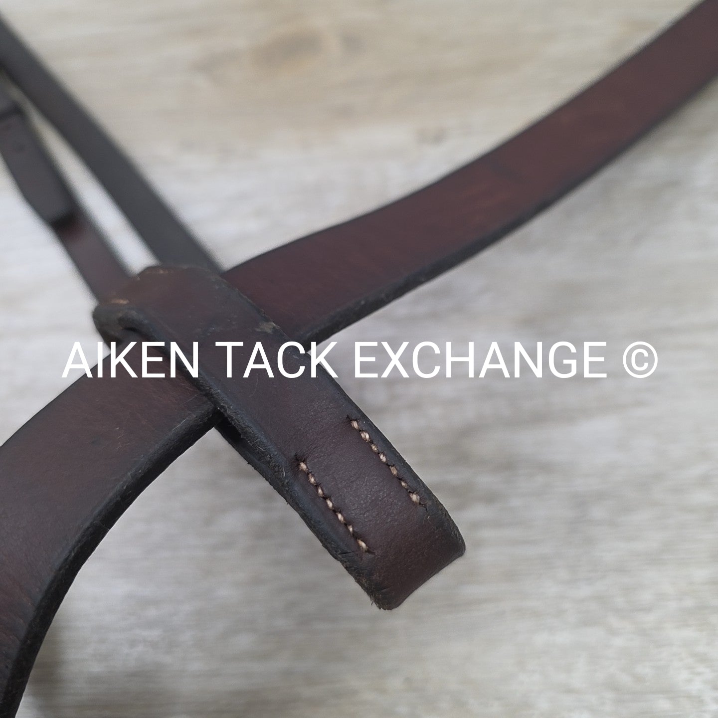 Horse Country First Flight Standing Martingale, Brown, Oversize