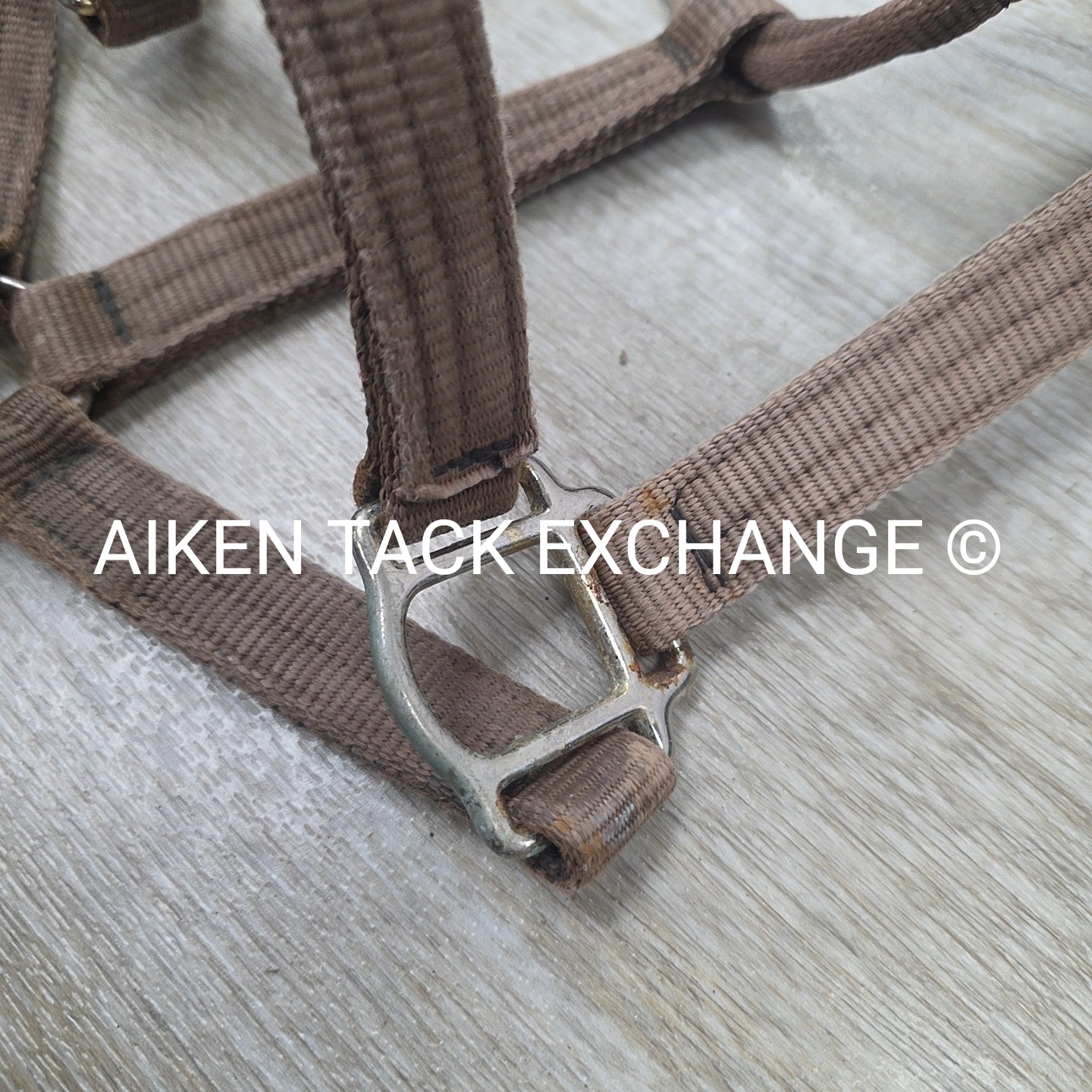 BARGAIN BUNDLE: 4 Weaver Leather Nylon Halters, Size Horse