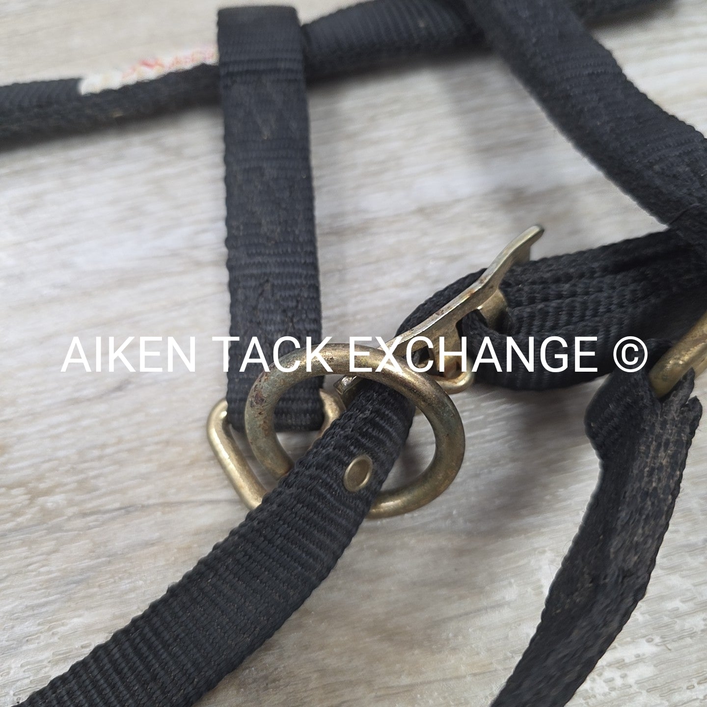 BARGAIN BUNDLE: 2 Nylon Breakaway Halters, Size Weanling / Pony