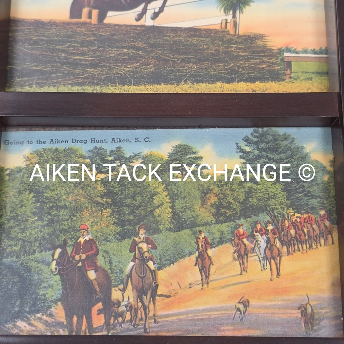 Aiken Equestrian Collage, 6" x 11"