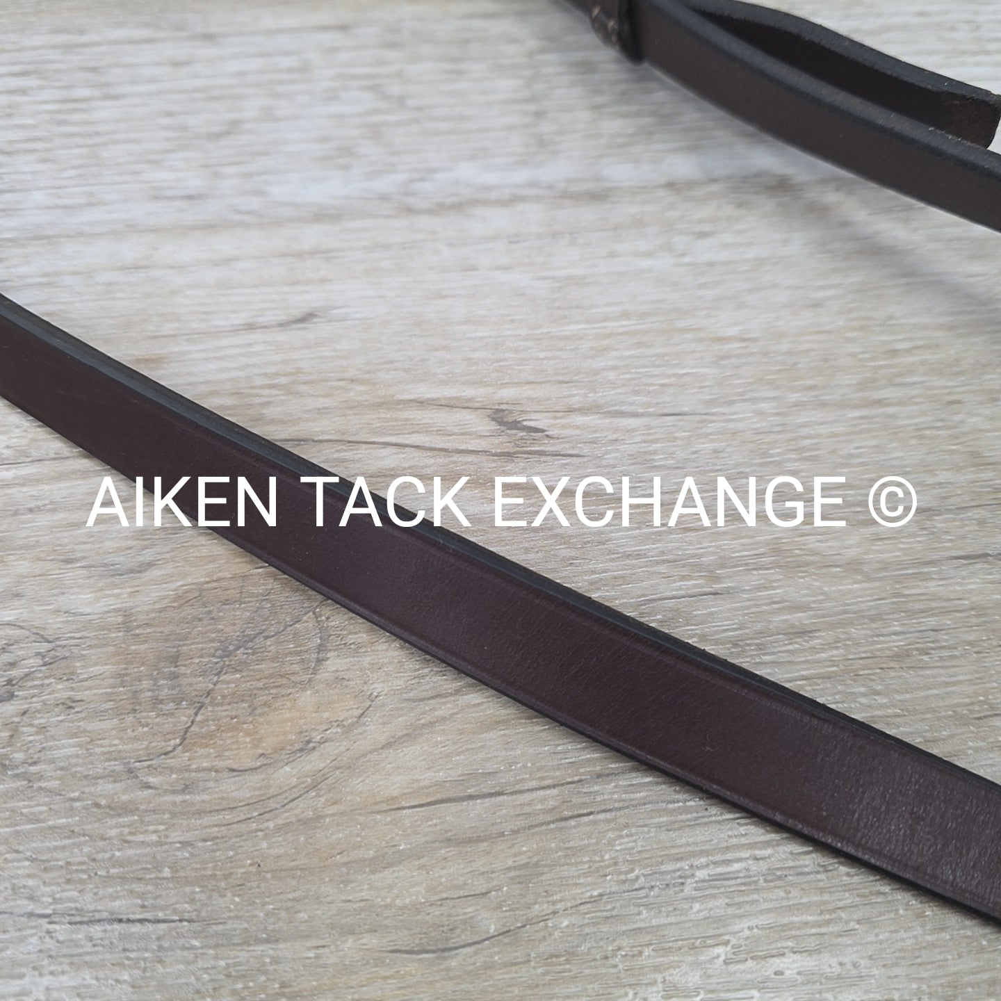 Horse Country First Flight Standing Martingale, Brown, Oversize