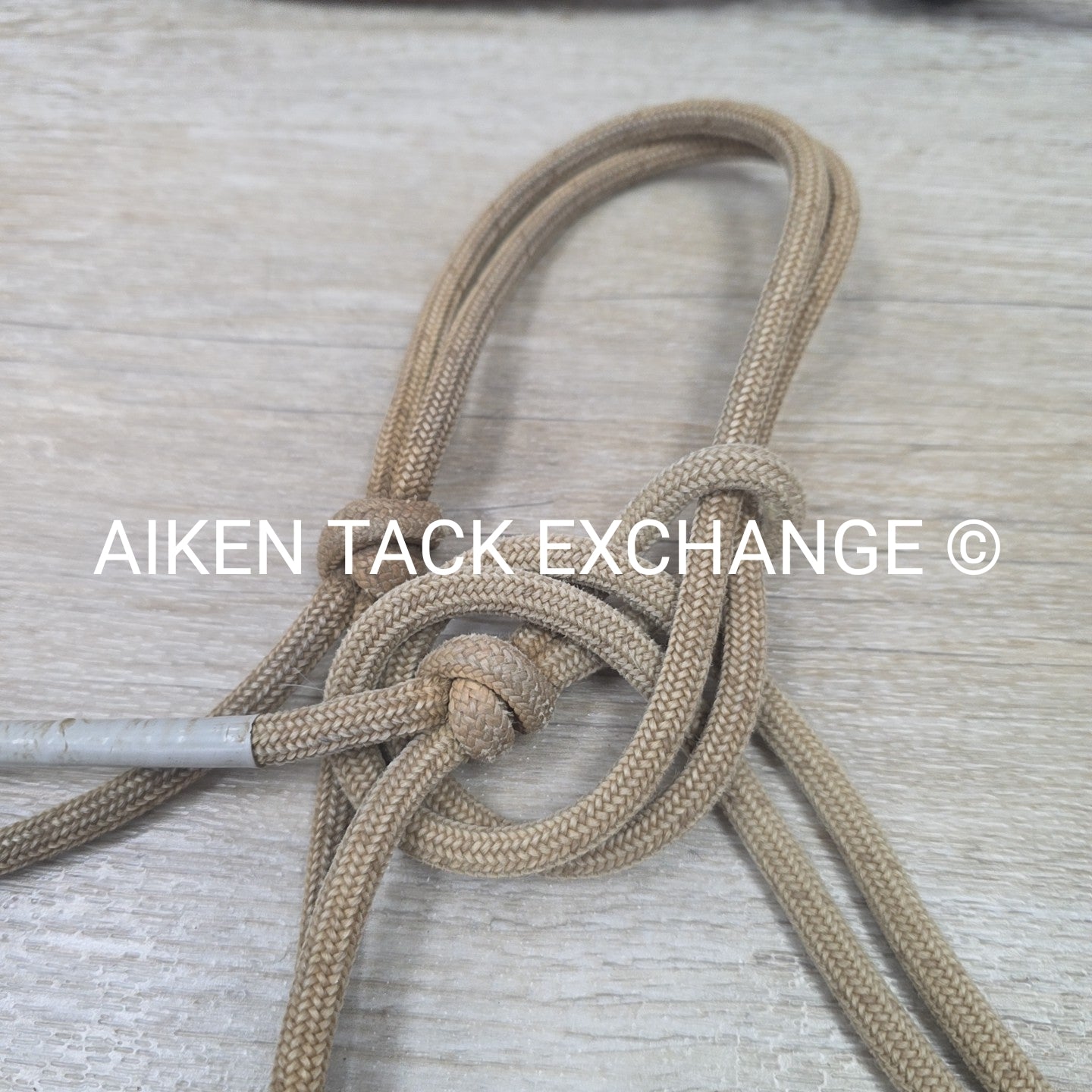 BARGAIN BUNDLE: 3 Rope Halters & 2 Leads