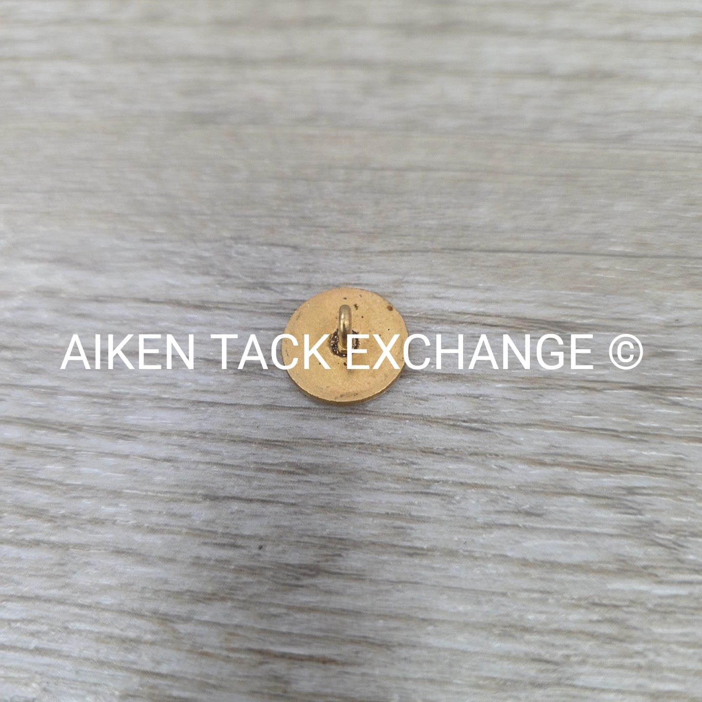 Tryon Hounds Brass Button, Small