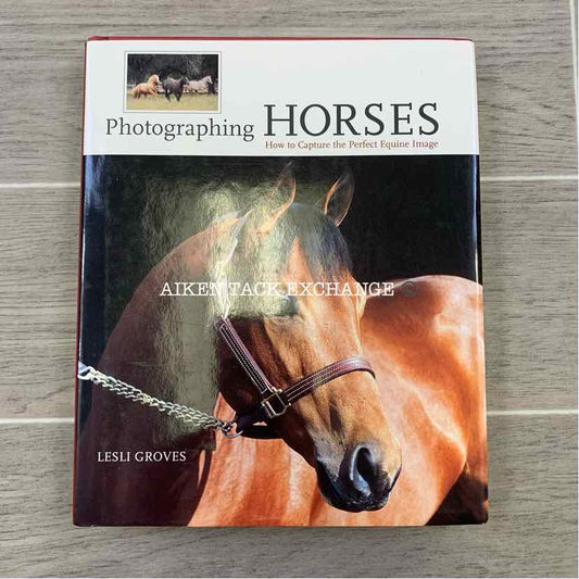 Photographing Horse by Lesli Groves