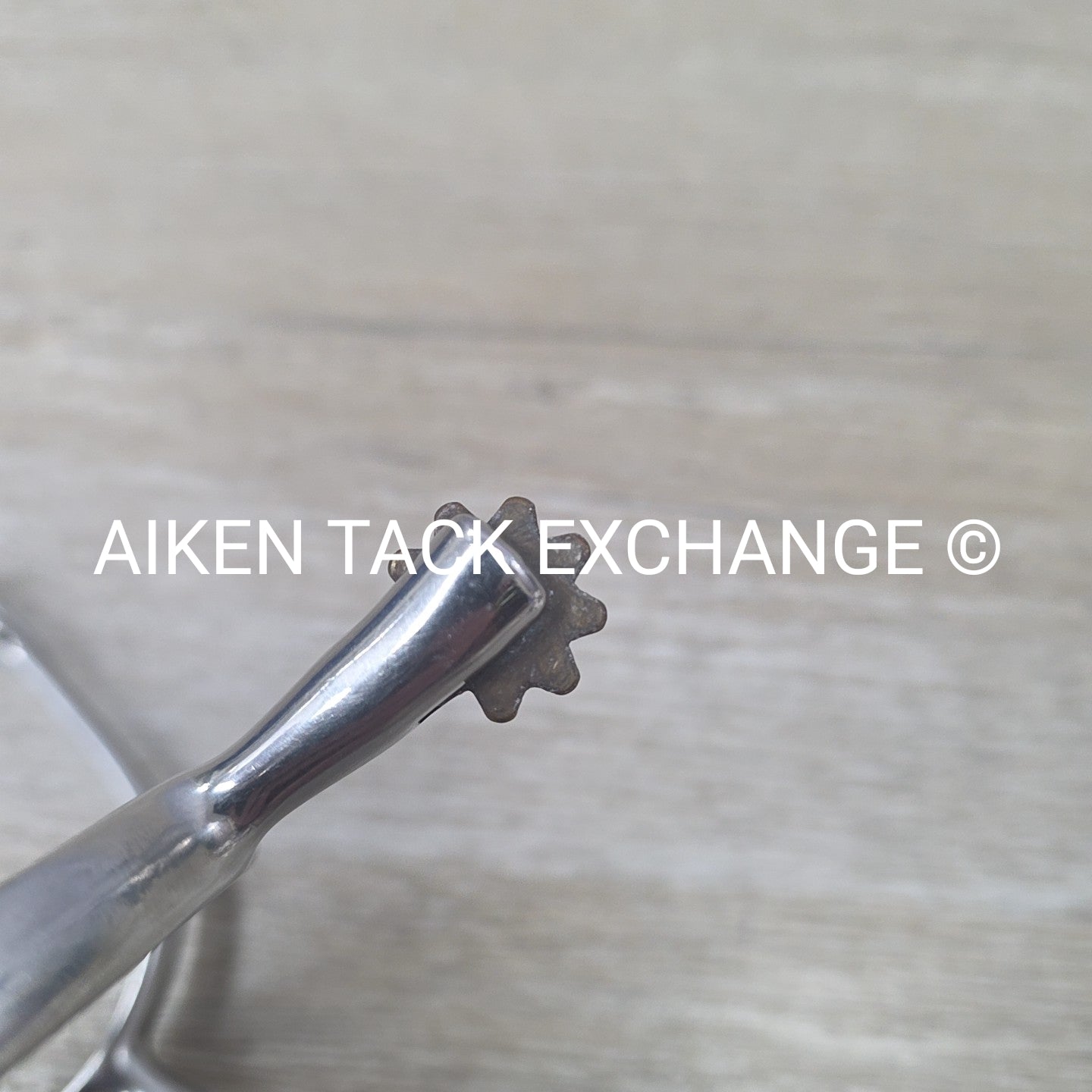 Star Tooth Rowel Spurs, No Straps