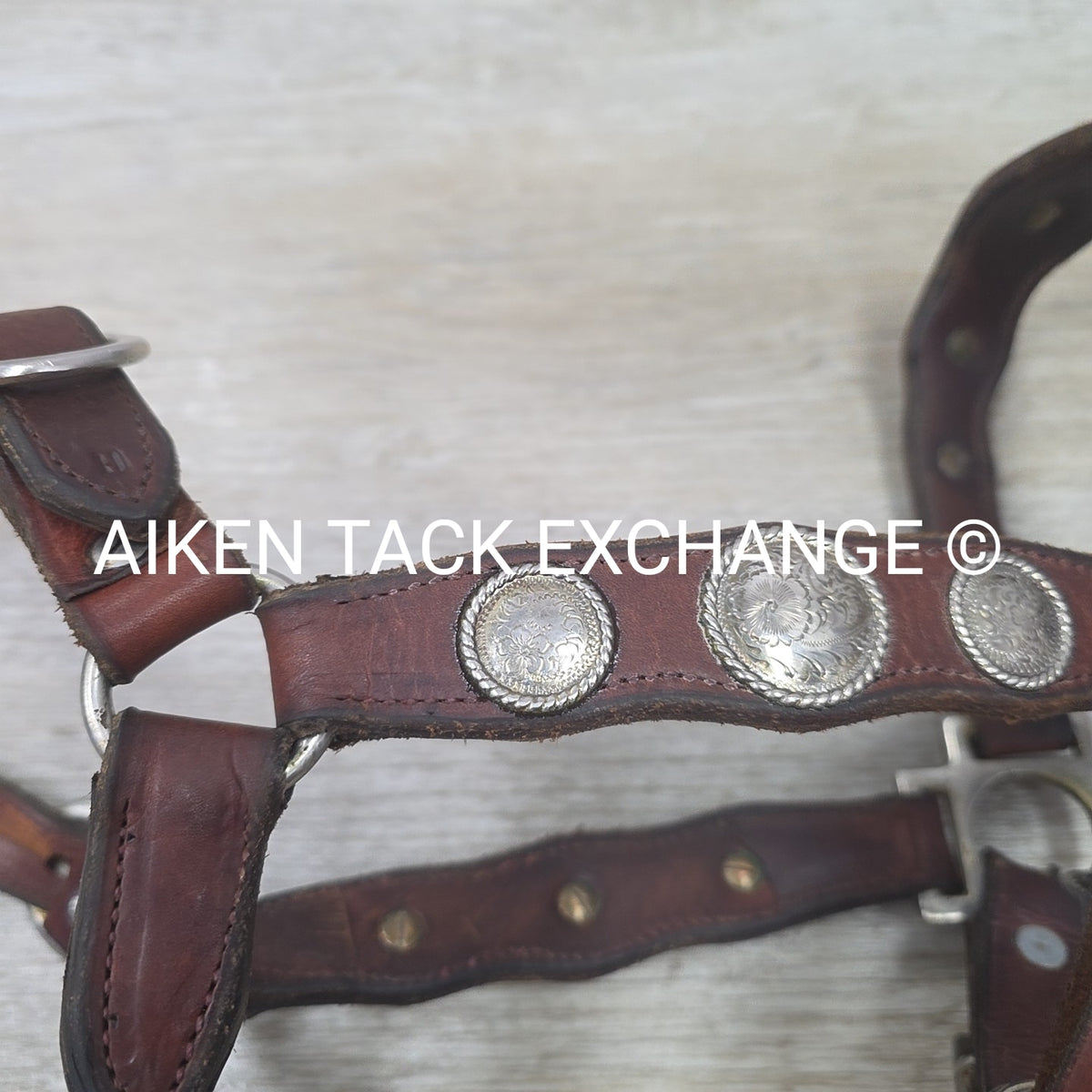 Western Show Halter, Size Full