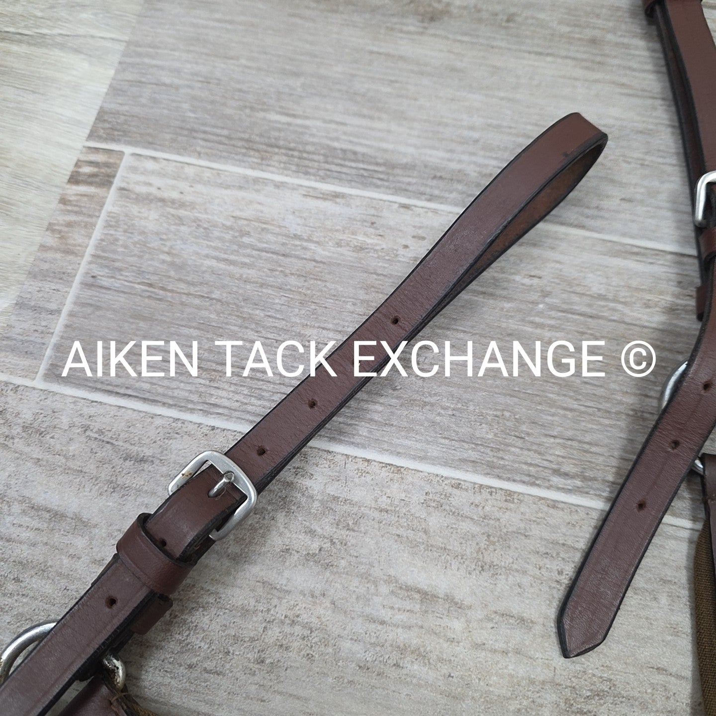 5 Point Breastplate with Running Martingale Attachment, Brown, Size Full
