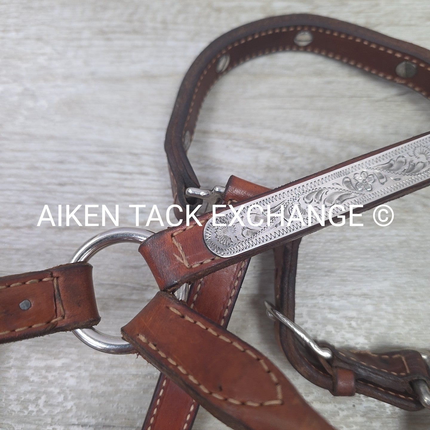Western Show Halter, Size Foal