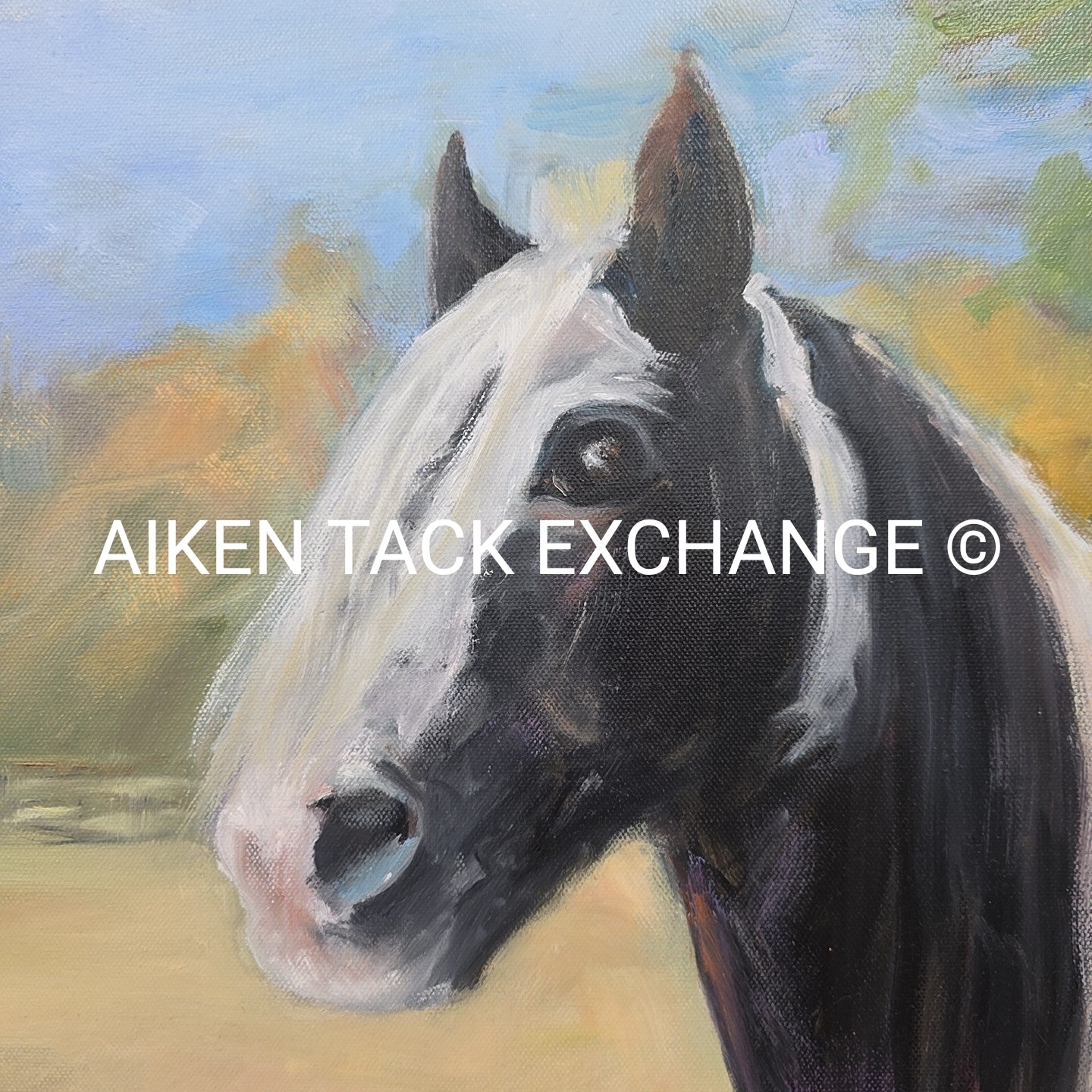 Handpainted Horse on Canvas "Levi" by E. Valentino, 40" x 30"