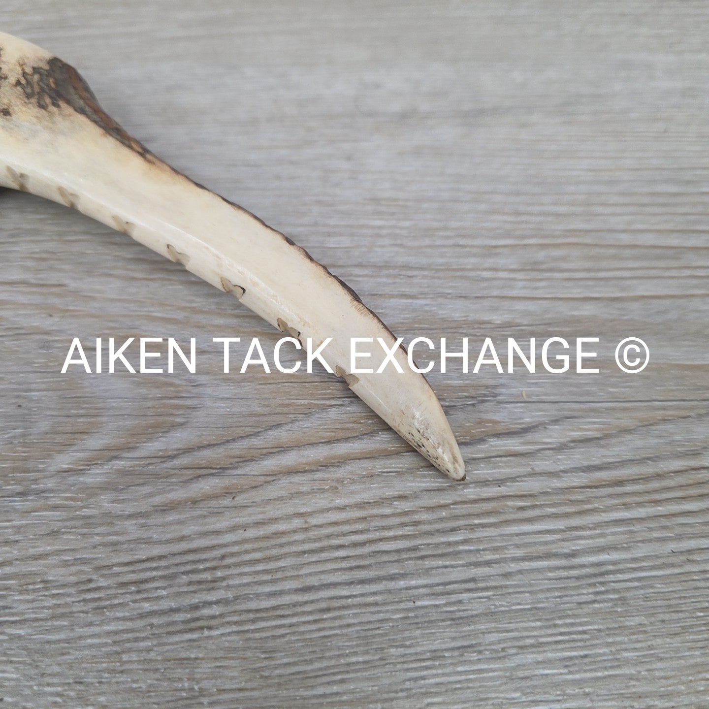 Swaine Whip for Foxhunting