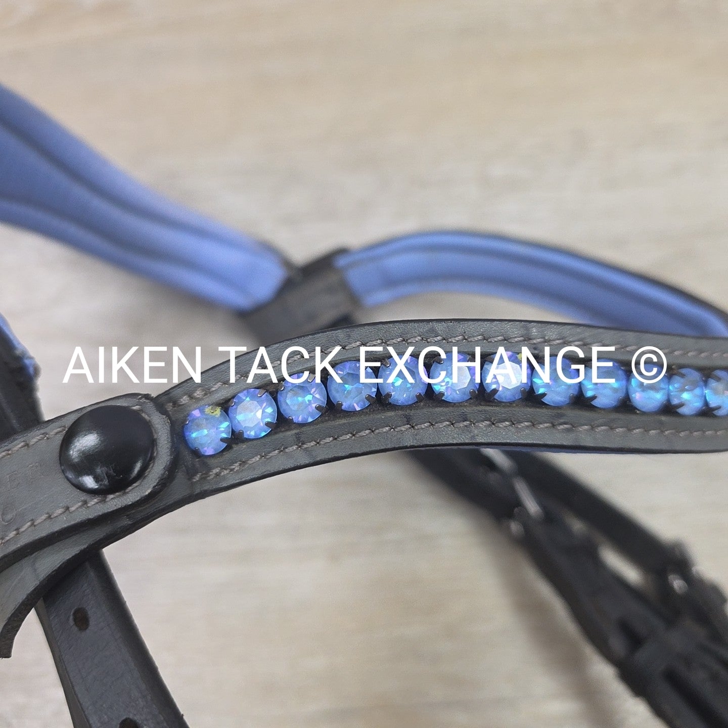 Halter Ego Rolled Dressage Bridle, No Reins, Size Cob