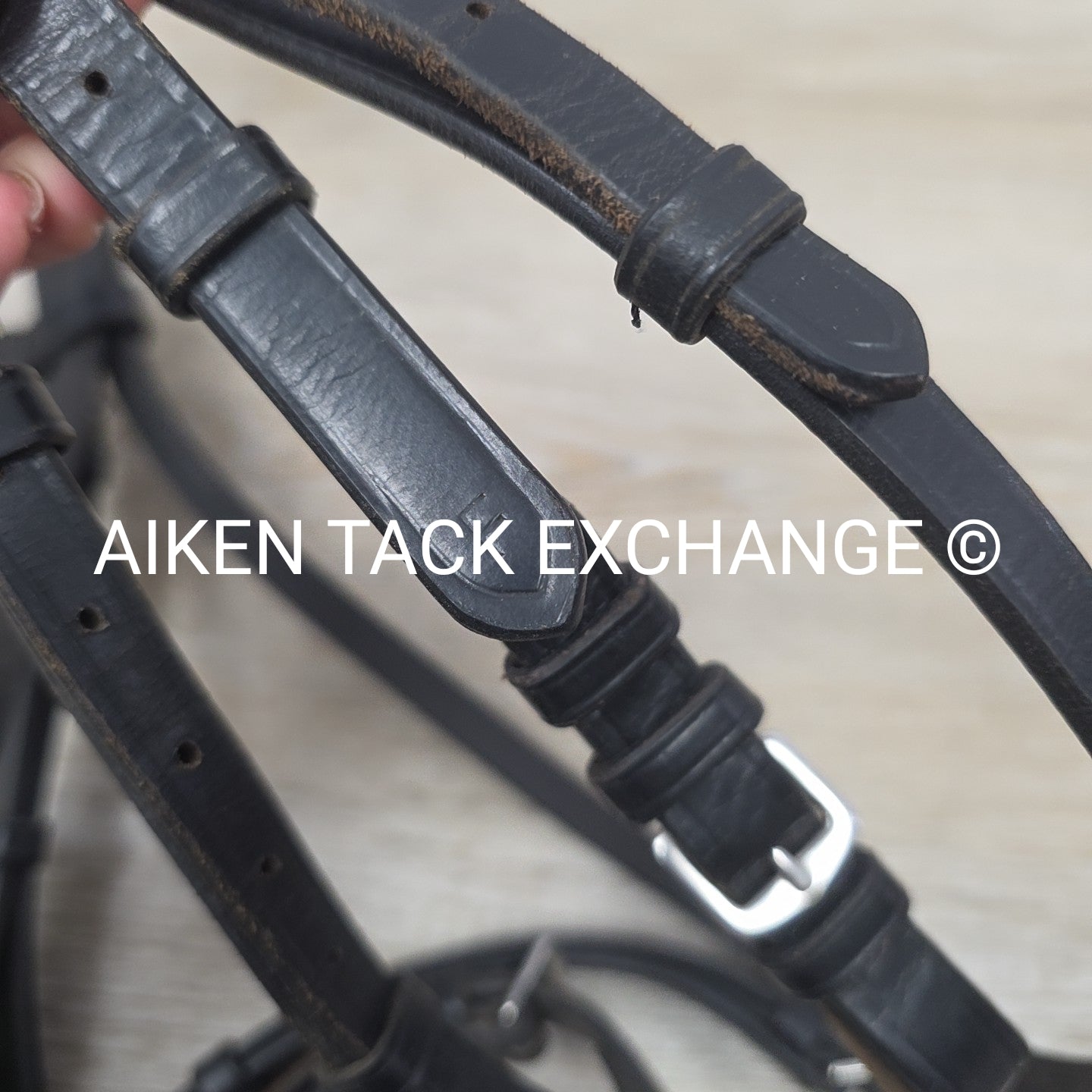 Bobby's English Tack Fairhaven Plain Raised Flash Bridle with Cotton Web Reins,
