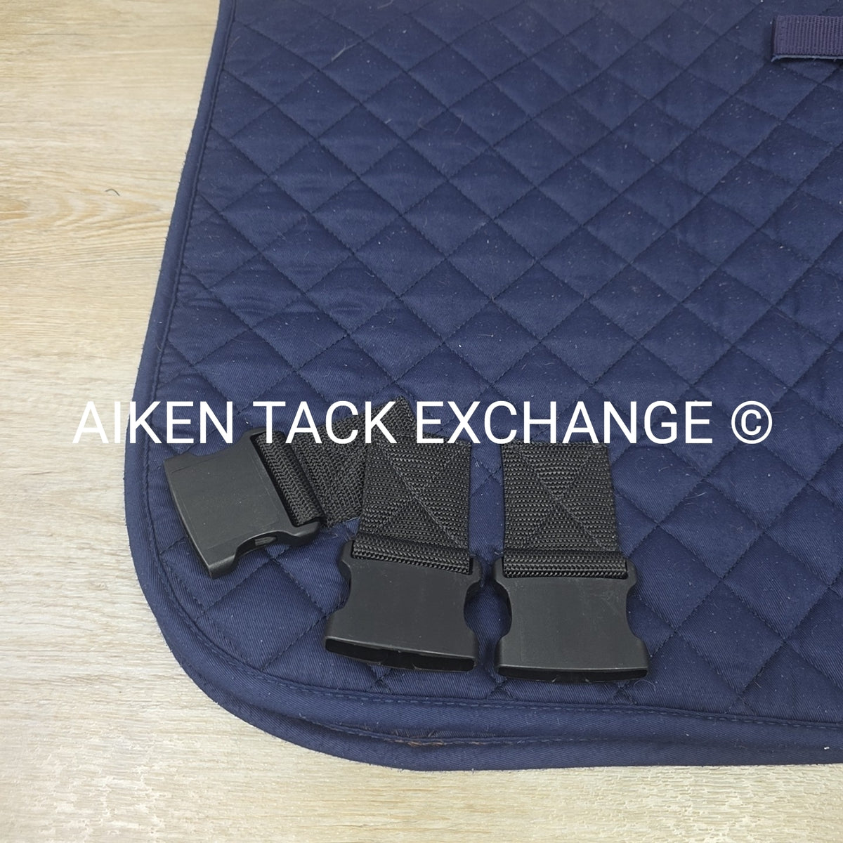 Equine Fitness System Navy Training Equipment
