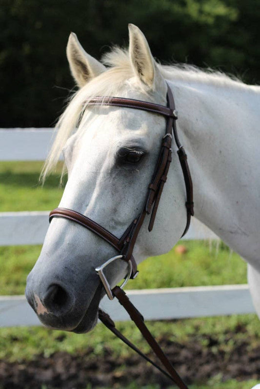 Henri de Rivel Advantage Plain Raised Snaffle Bridle: Australian Nut / Pony