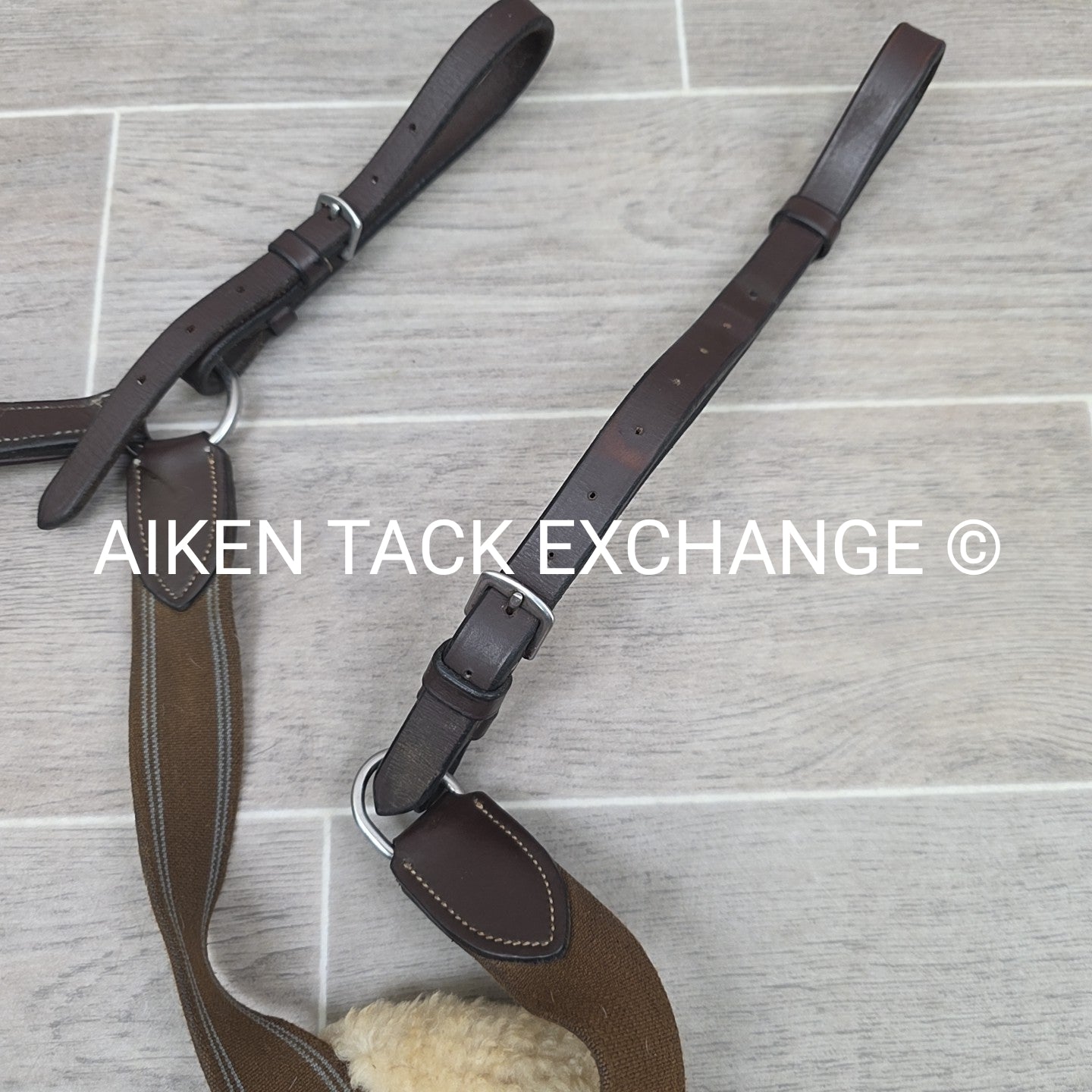 HDR Pro 5 Point Elastic Breastplate, Brown, Size Full