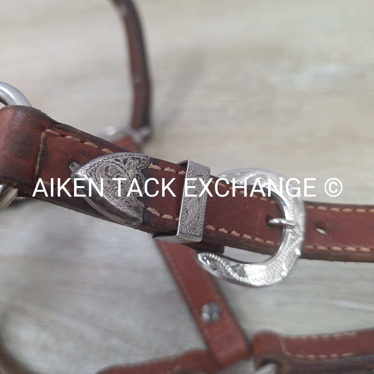 Western Show Halter, Size Foal