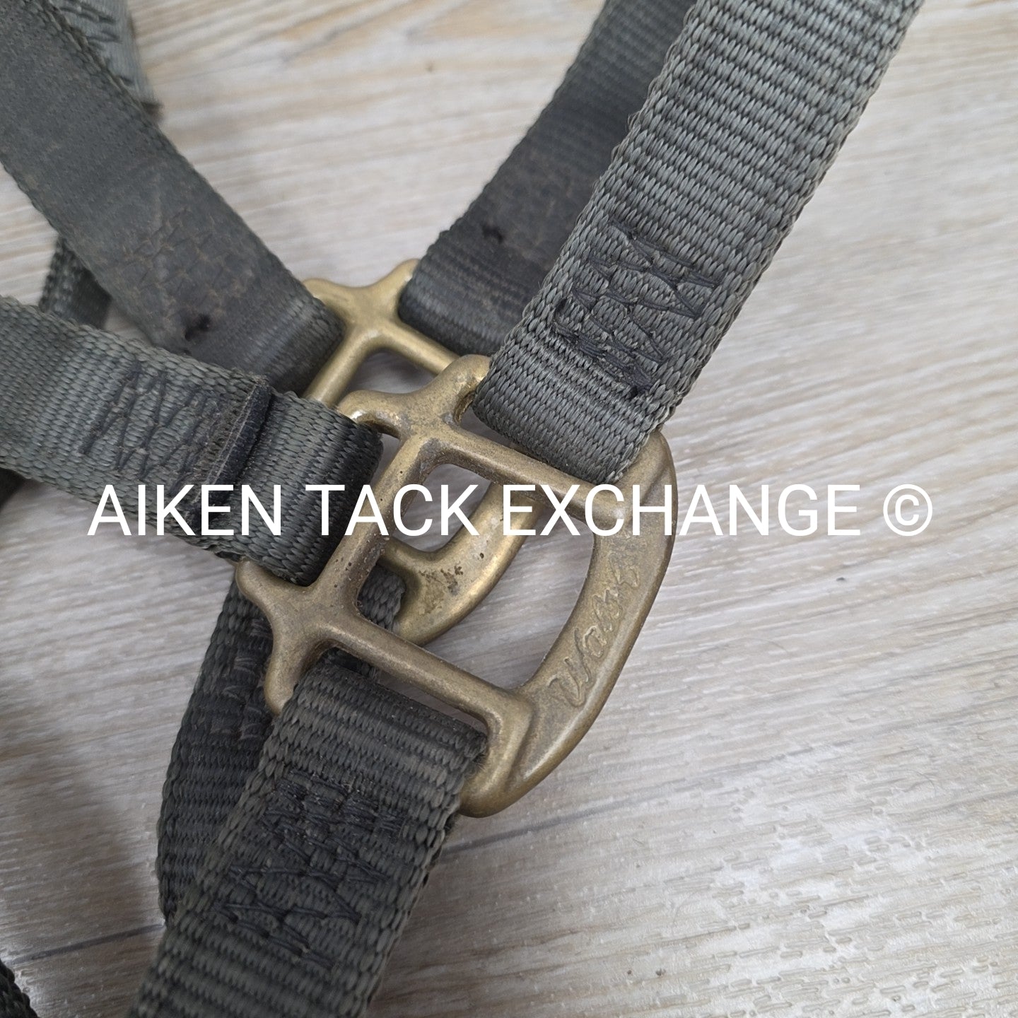 Walsh Nylon Halter, Size Cob