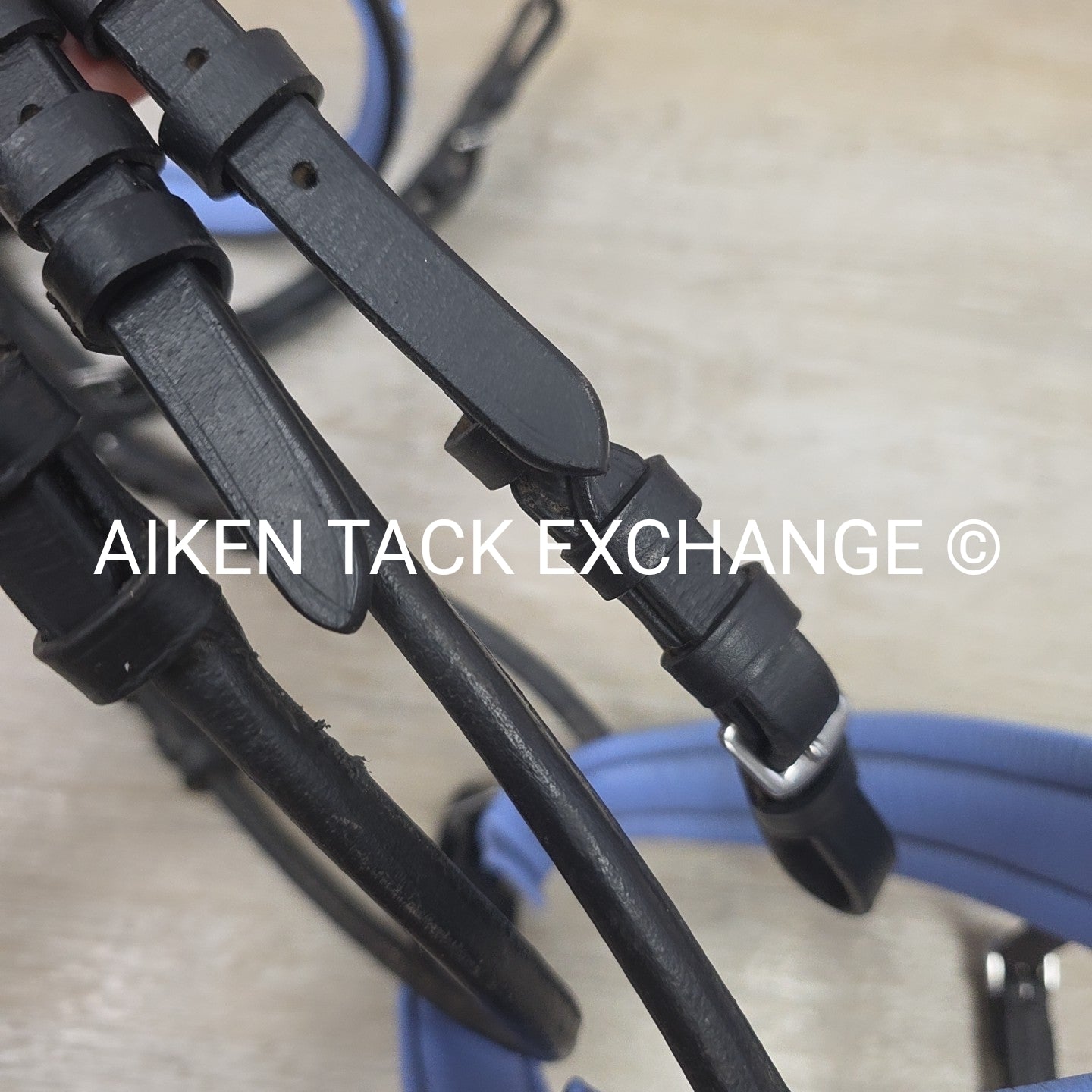 Halter Ego Rolled Dressage Bridle, No Reins, Size Cob