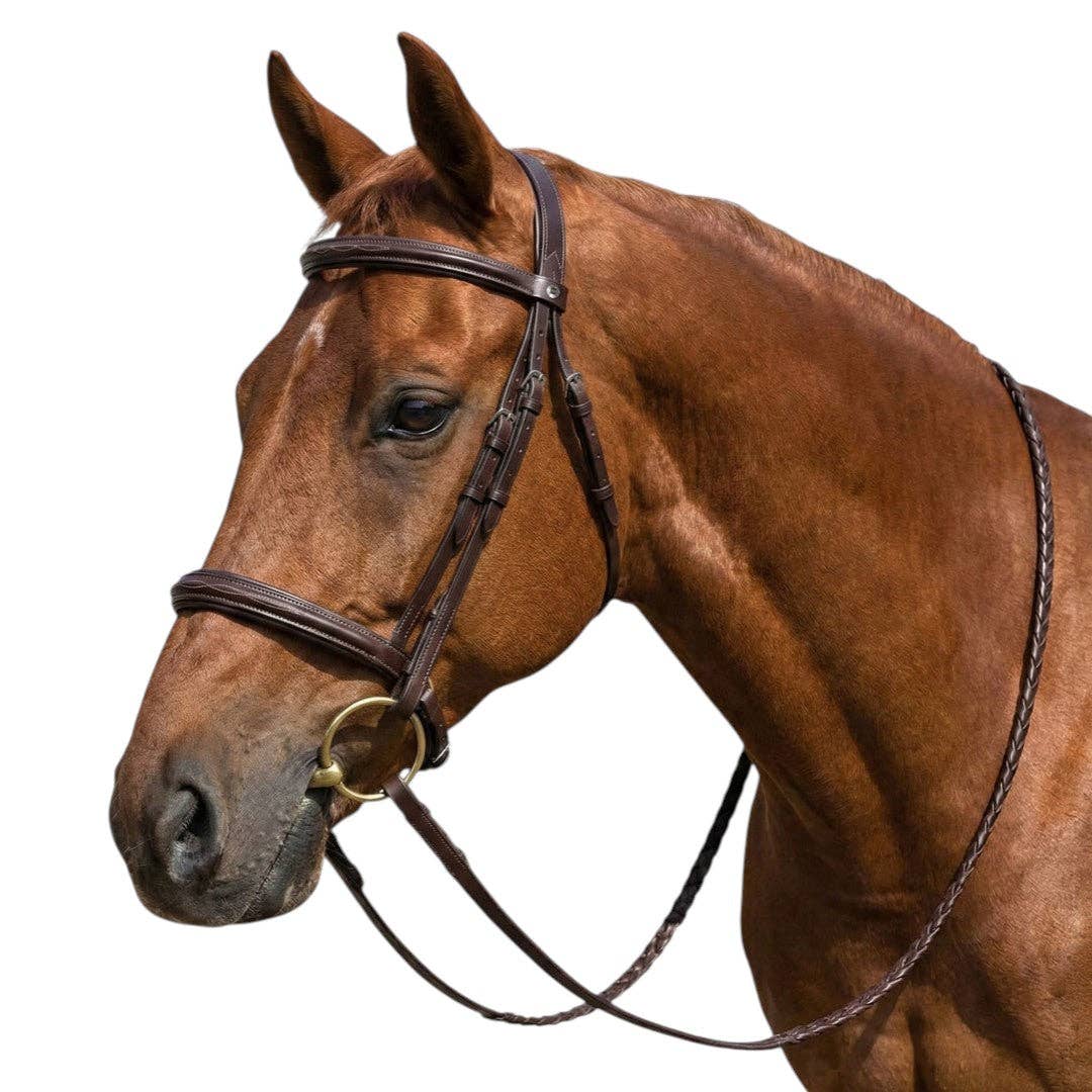 Henri de Rivel Advantage Mono Crown Padded Bridle: Havana / Horse