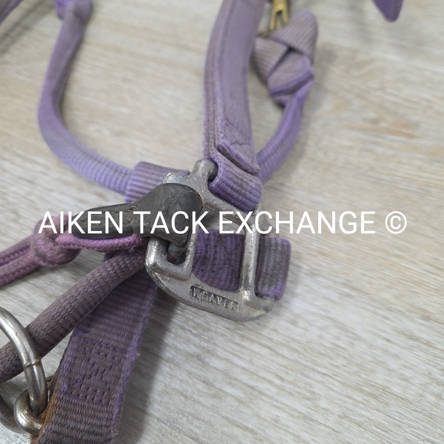 BARGAIN BUNDLE 4 Weaver Leather Nylon Halters, Size Horse