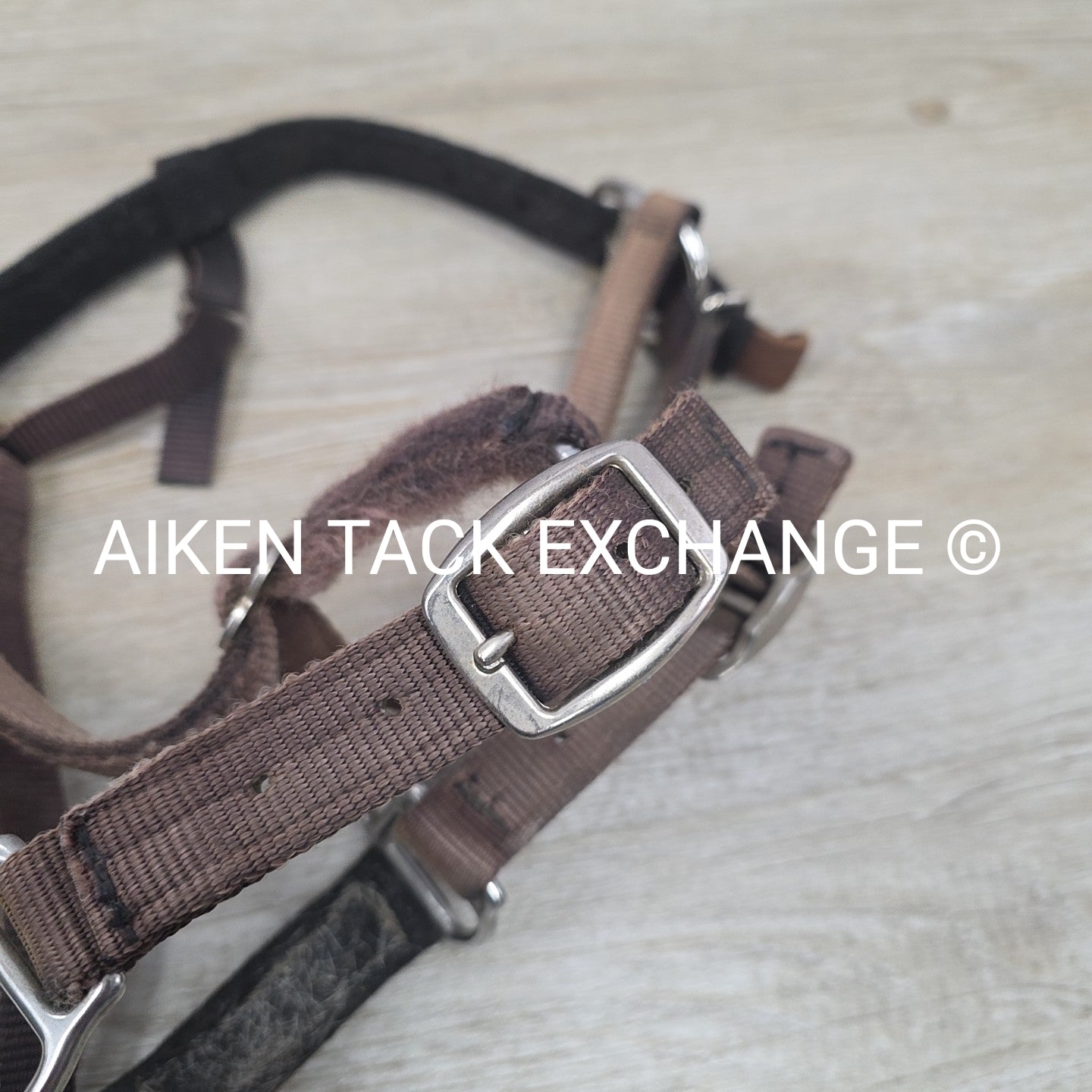 GreenGuard Premium Breakaway Halter, Cob