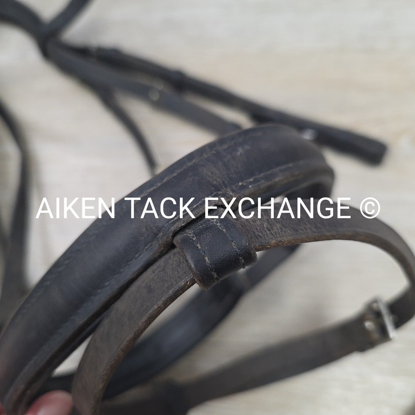 BARGAIN BUNDLE: Otto Schumacher Flash Bridle with Passier Cotton Web Reins, Blac