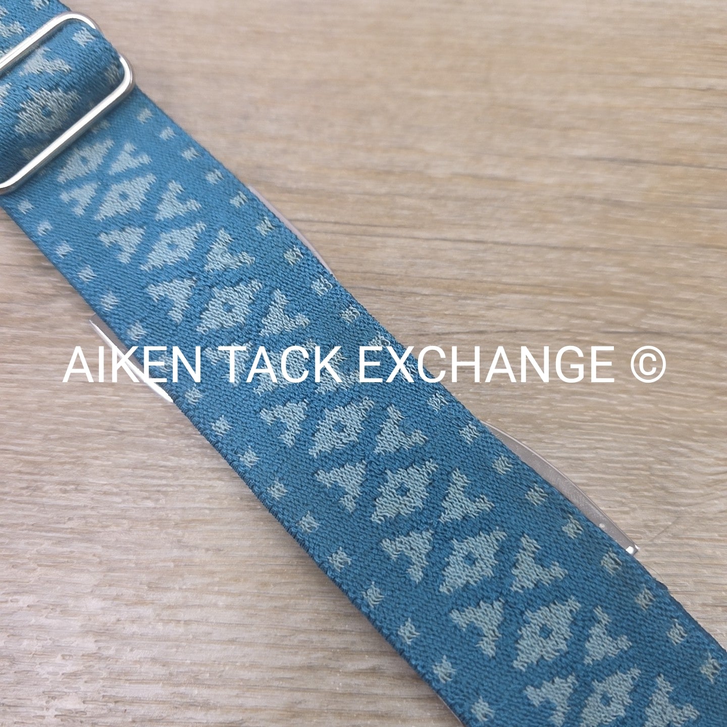 Ellany Silver Stirrup Elastic Belt
