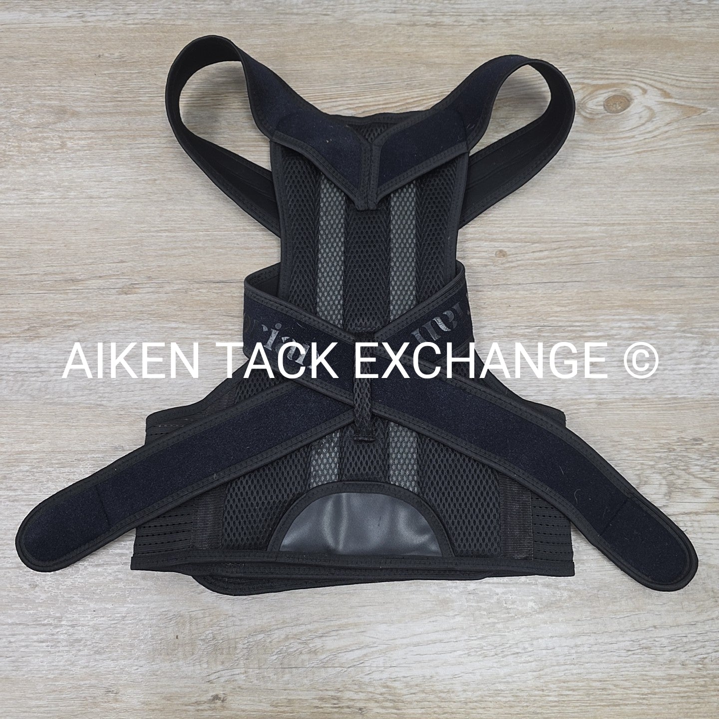 Equestorian Back Brace, Size Large