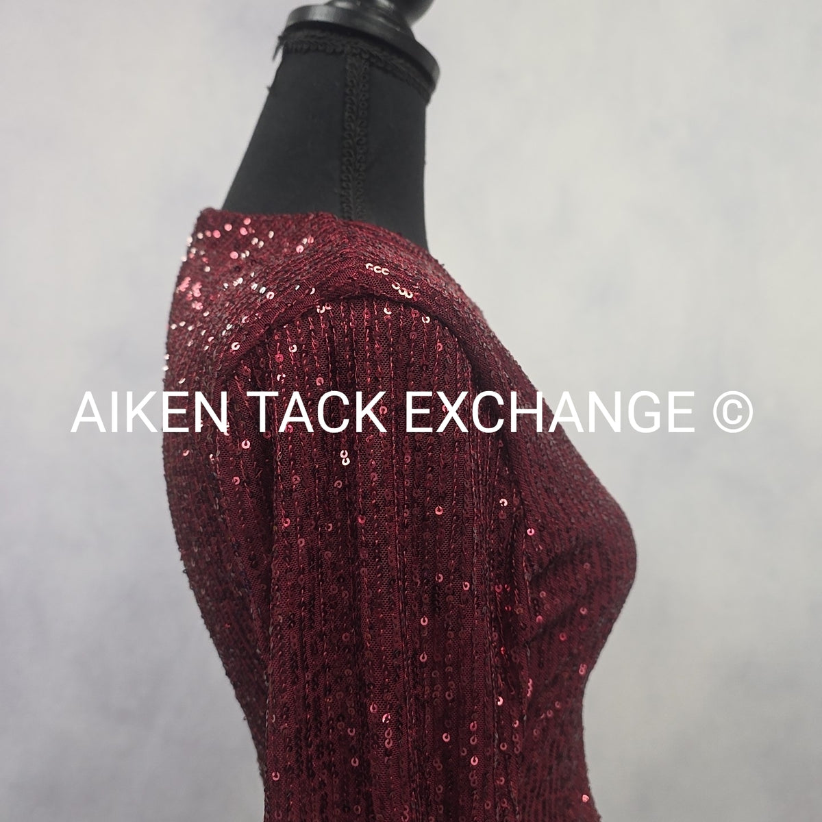 Premier Amour Long Sleeve Dress, Size 4