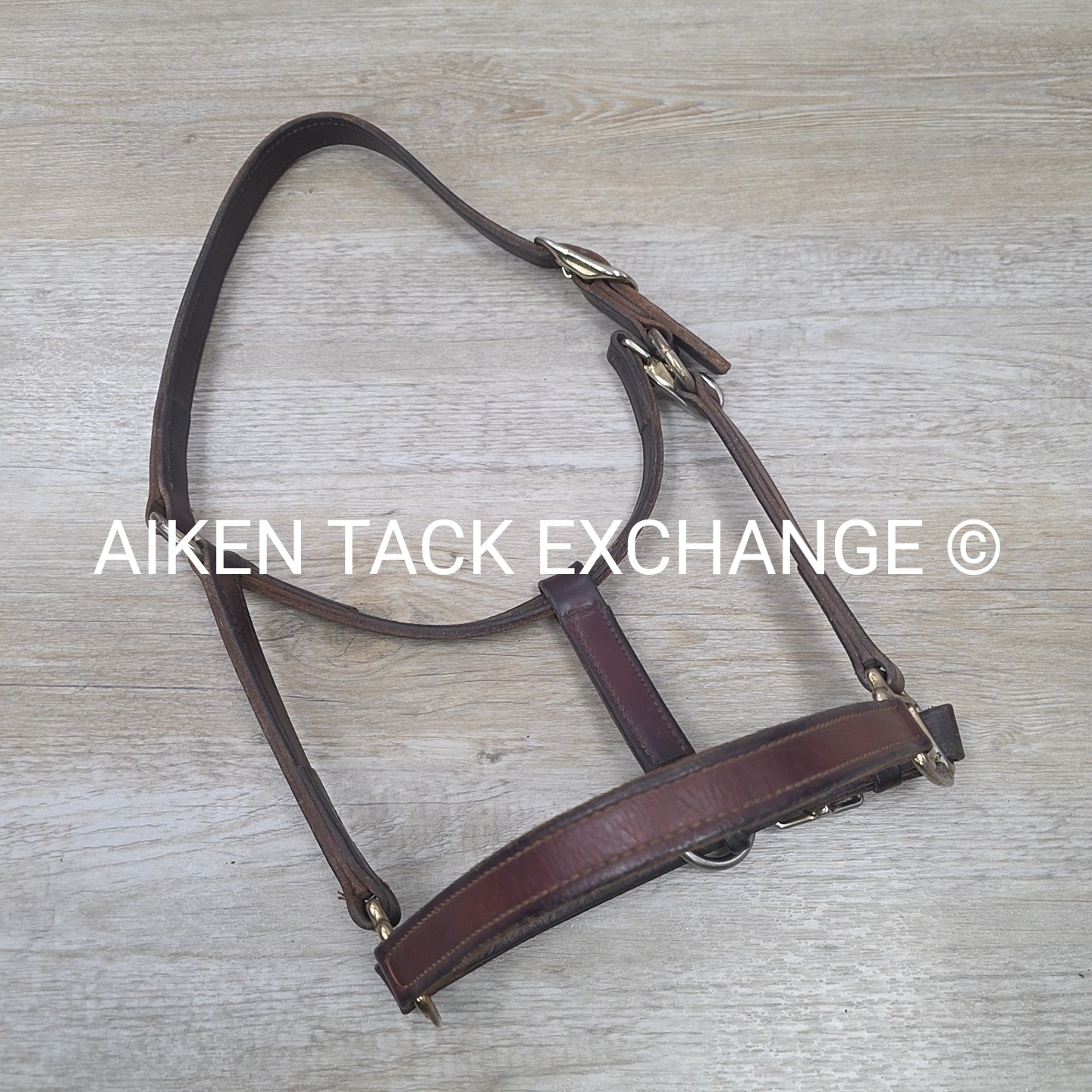Perri's Leather Halter, Brown, Size Full