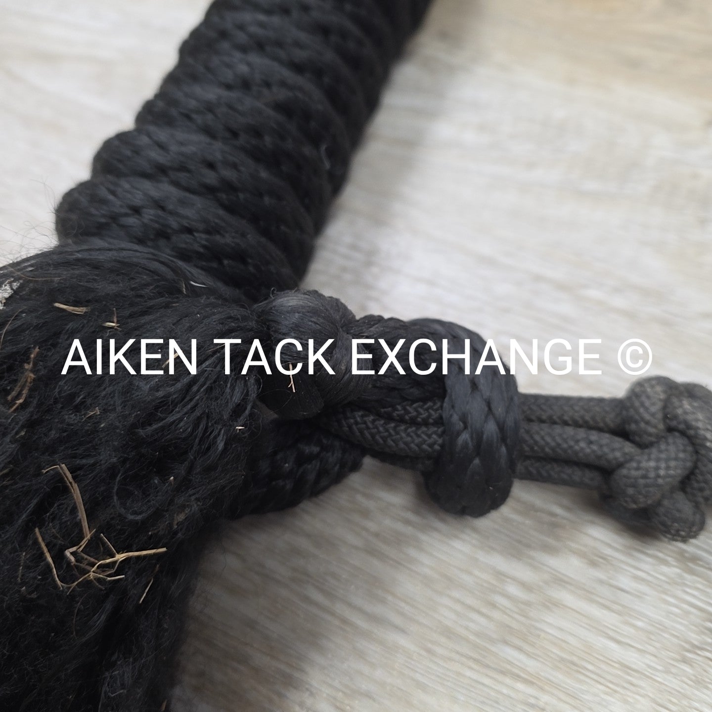 Weaver Leather Silvertip Tope Halter with Lead