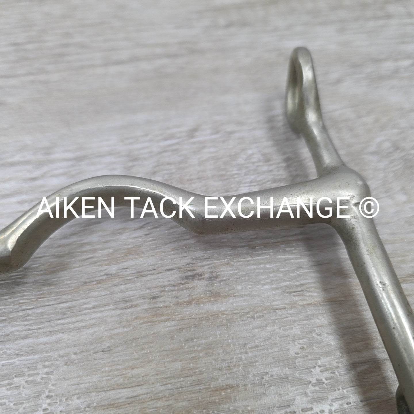 Never Rust Long Shank Bit 5" (No Hooks & Curb Chain)
