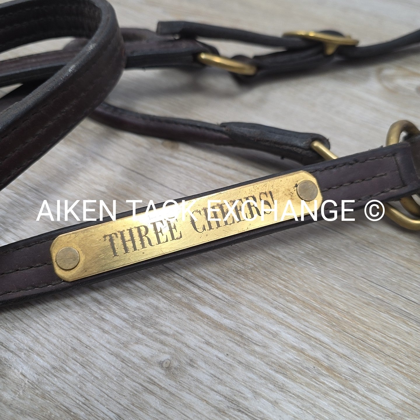 BARGAIN BUNDLE: 2 Leather Halters, Has Name Plates, Size Full