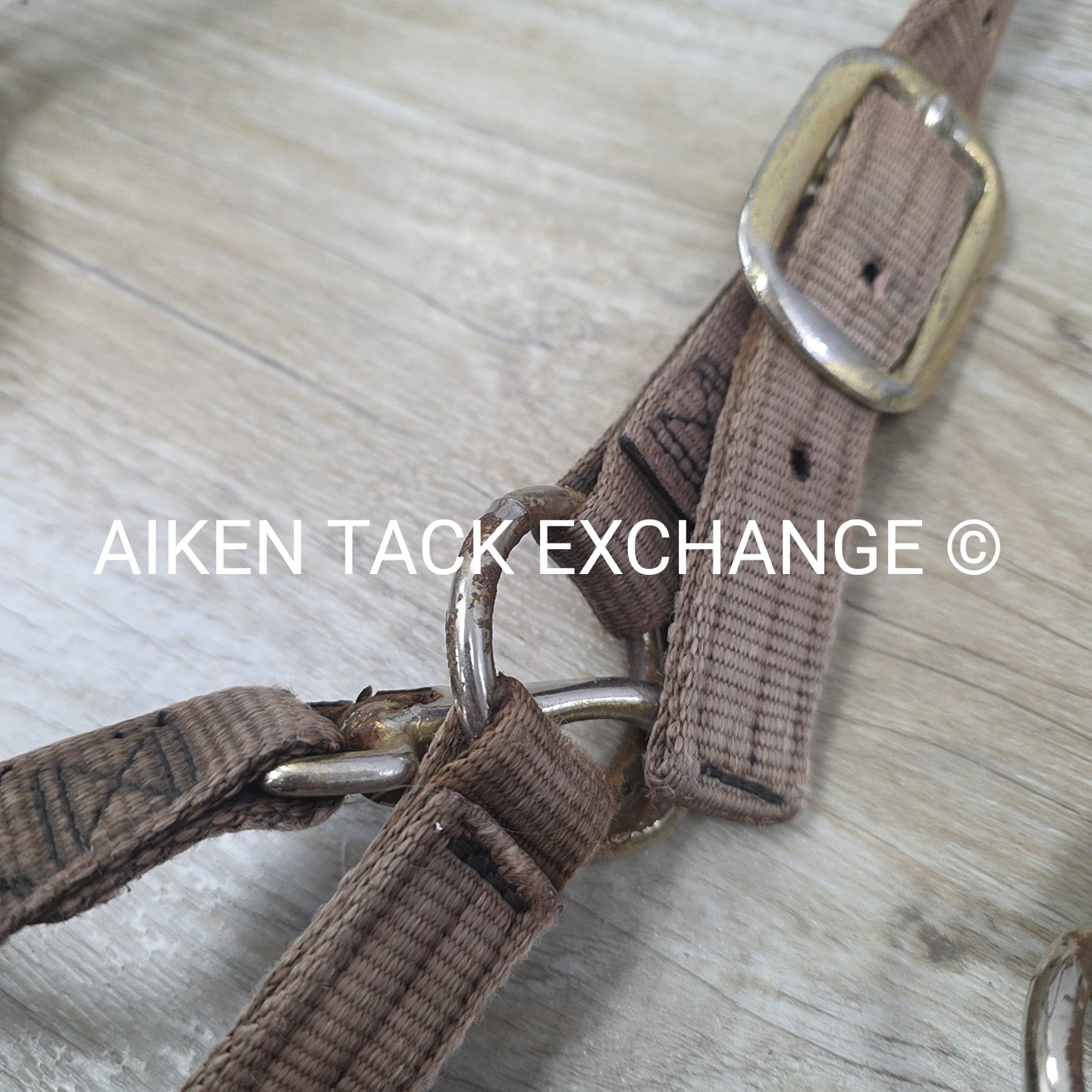 BARGAIN BUNDLE: 4 Weaver Leather Nylon Halters, Size Horse