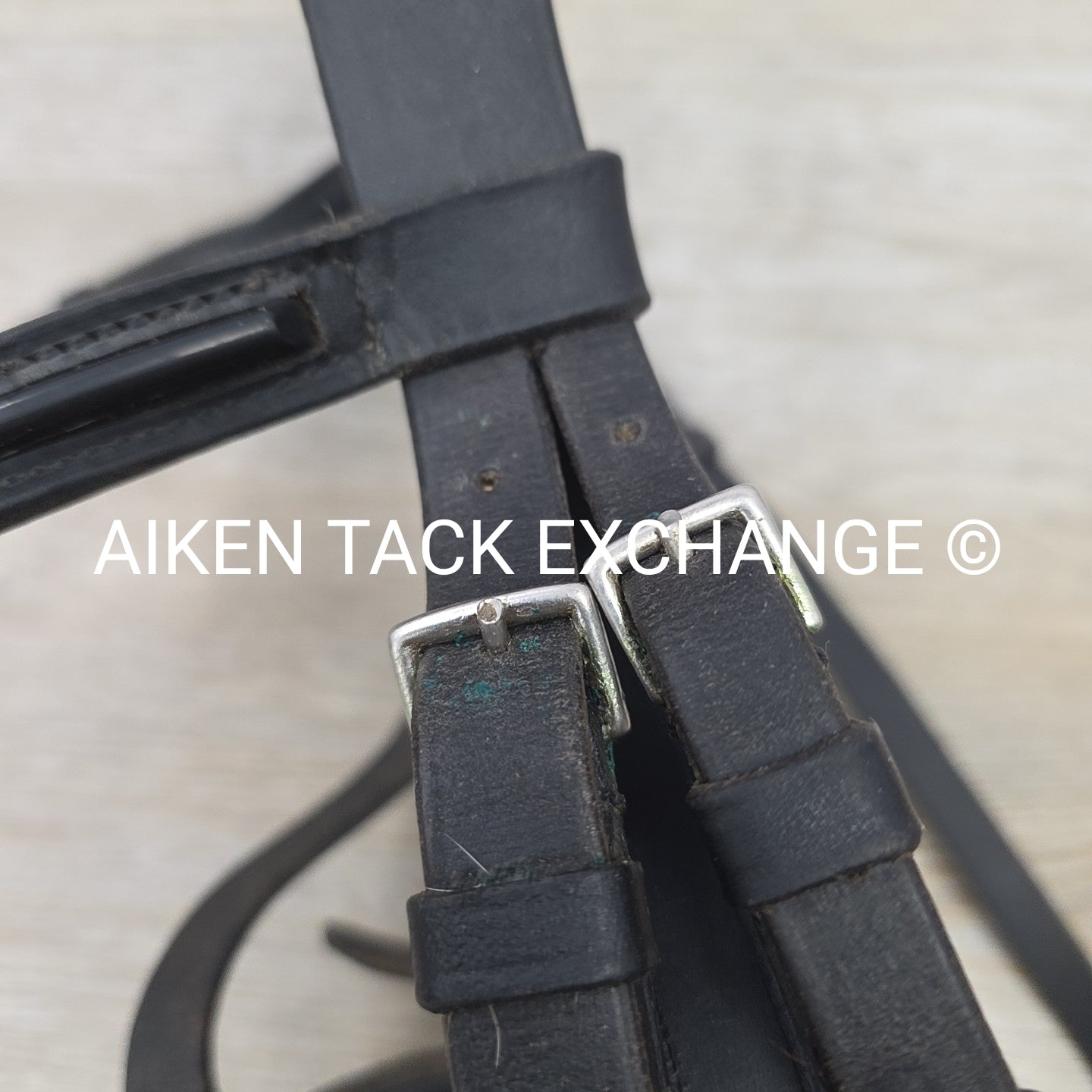 BARGAIN BUNDLE: Otto Schumacher Flash Bridle with Passier Cotton Web Reins, Blac