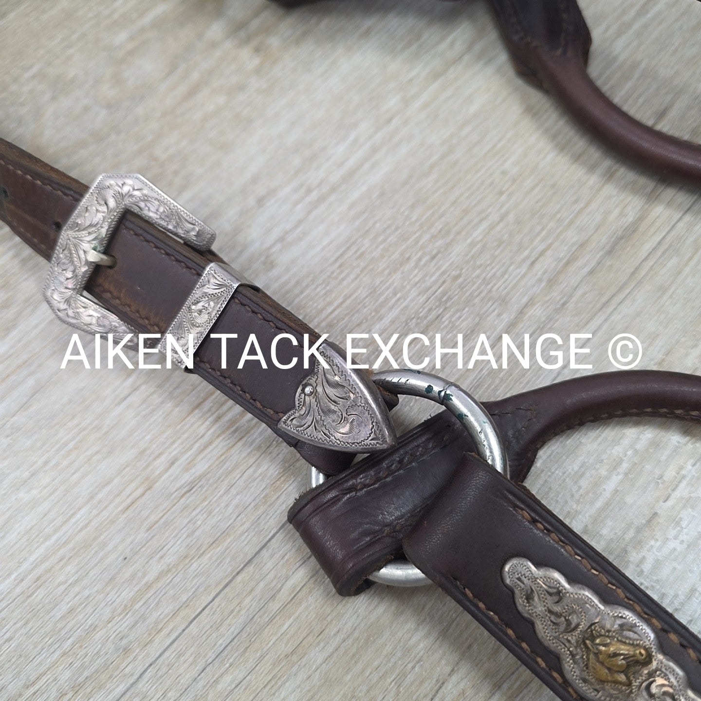 Victor Quality Westen Show Halter with Lead
