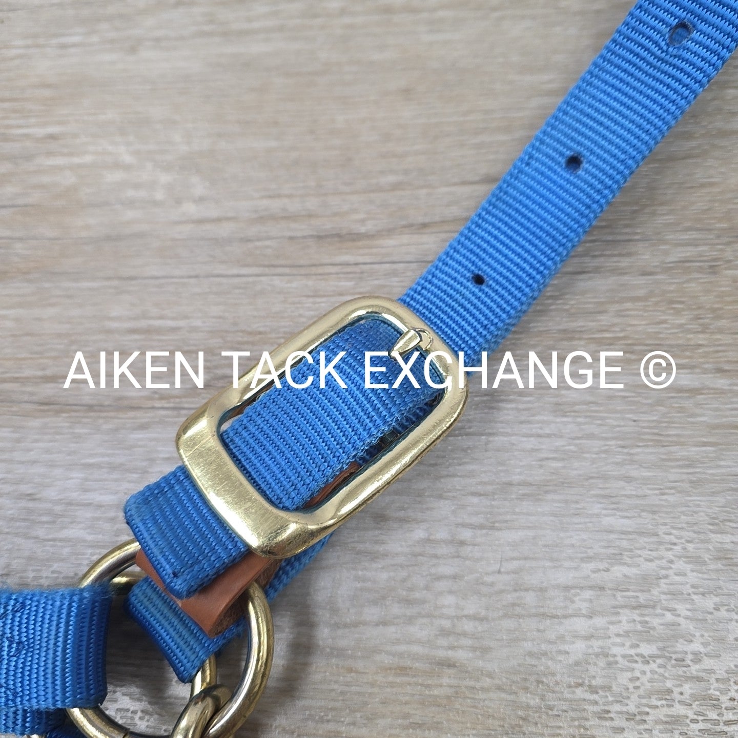 Nylon Breakaway Halter, Size Large