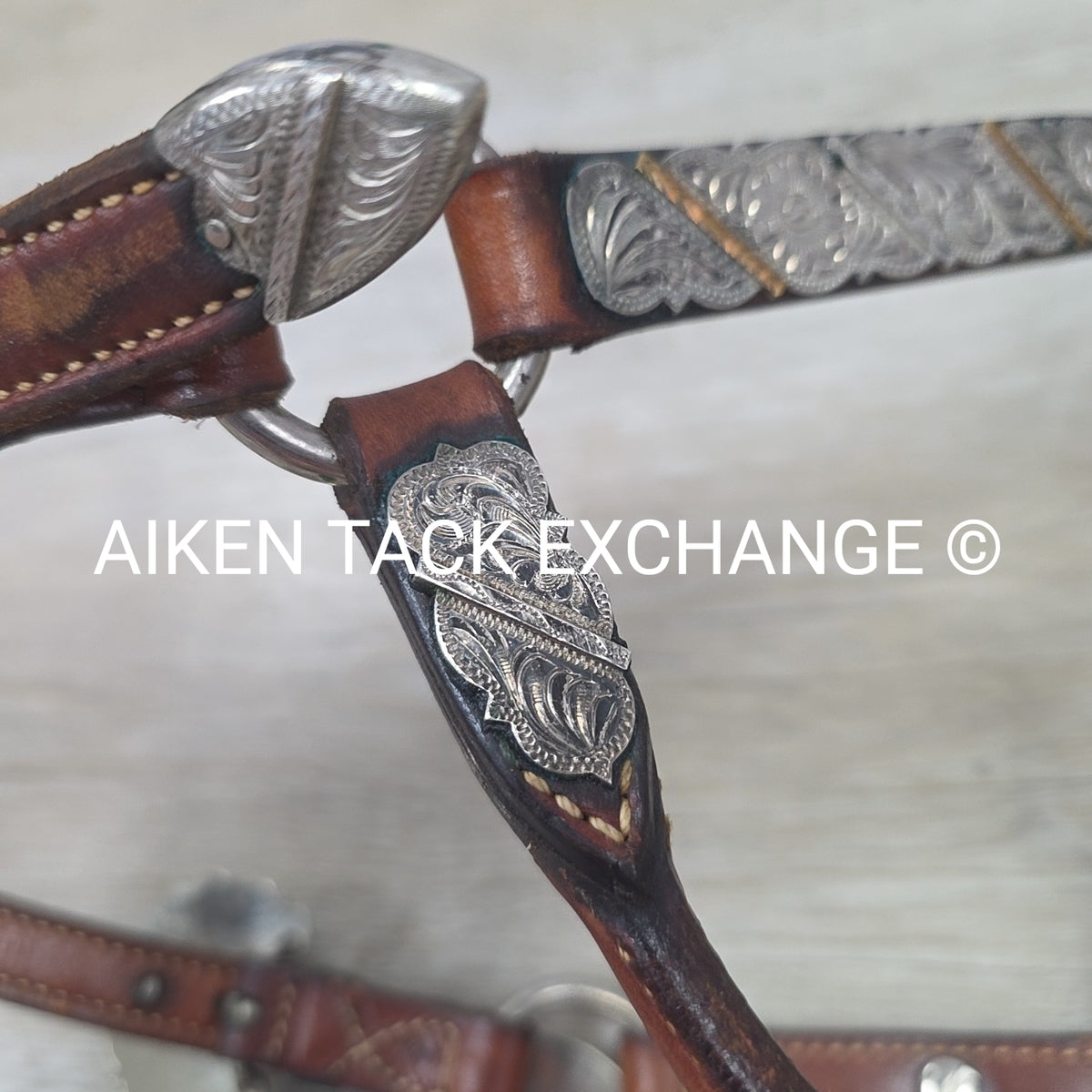 Western Show Halter, Size Foal
