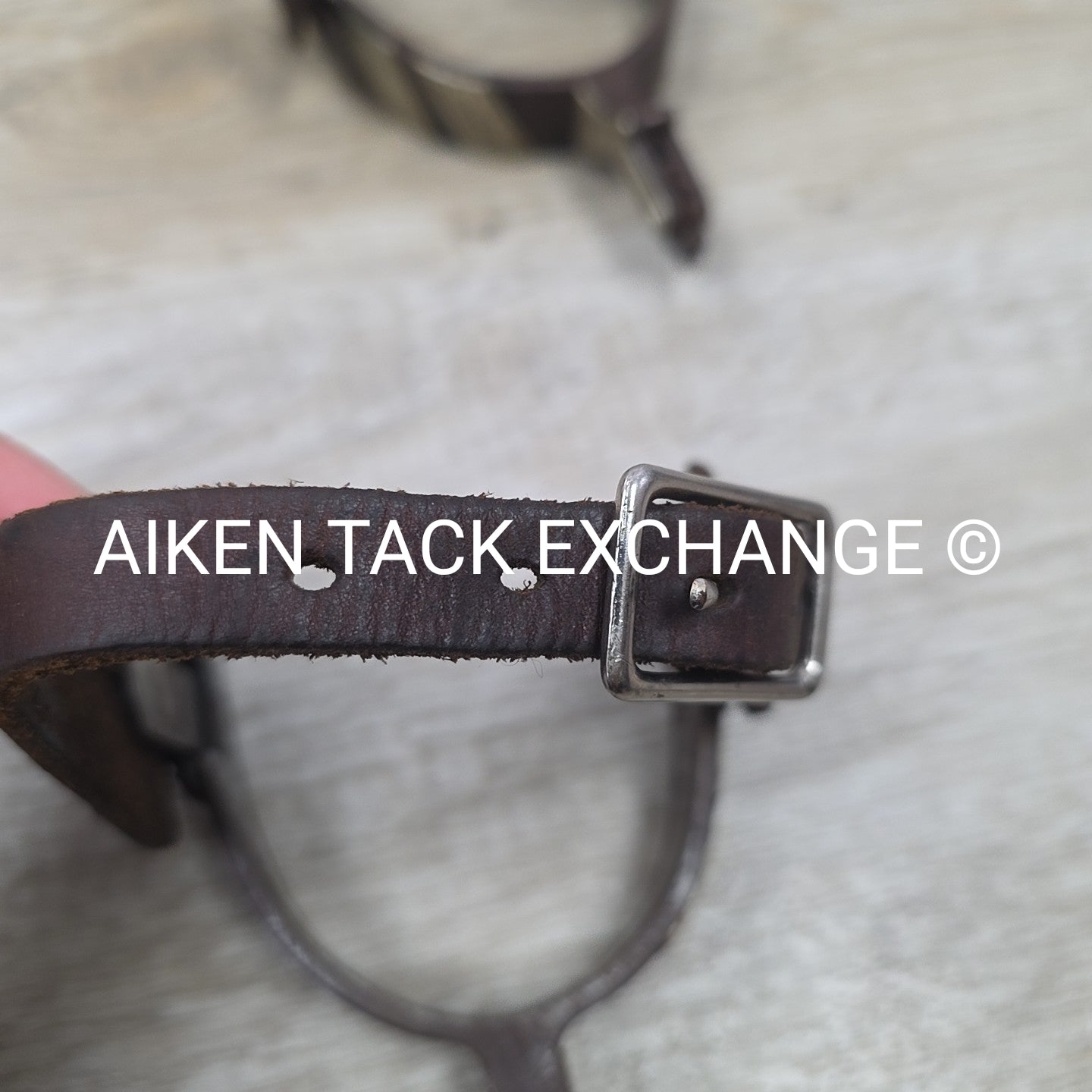 Classic Equine Cowboy Series Spurs with Chap Guard & Leather Spur Straps