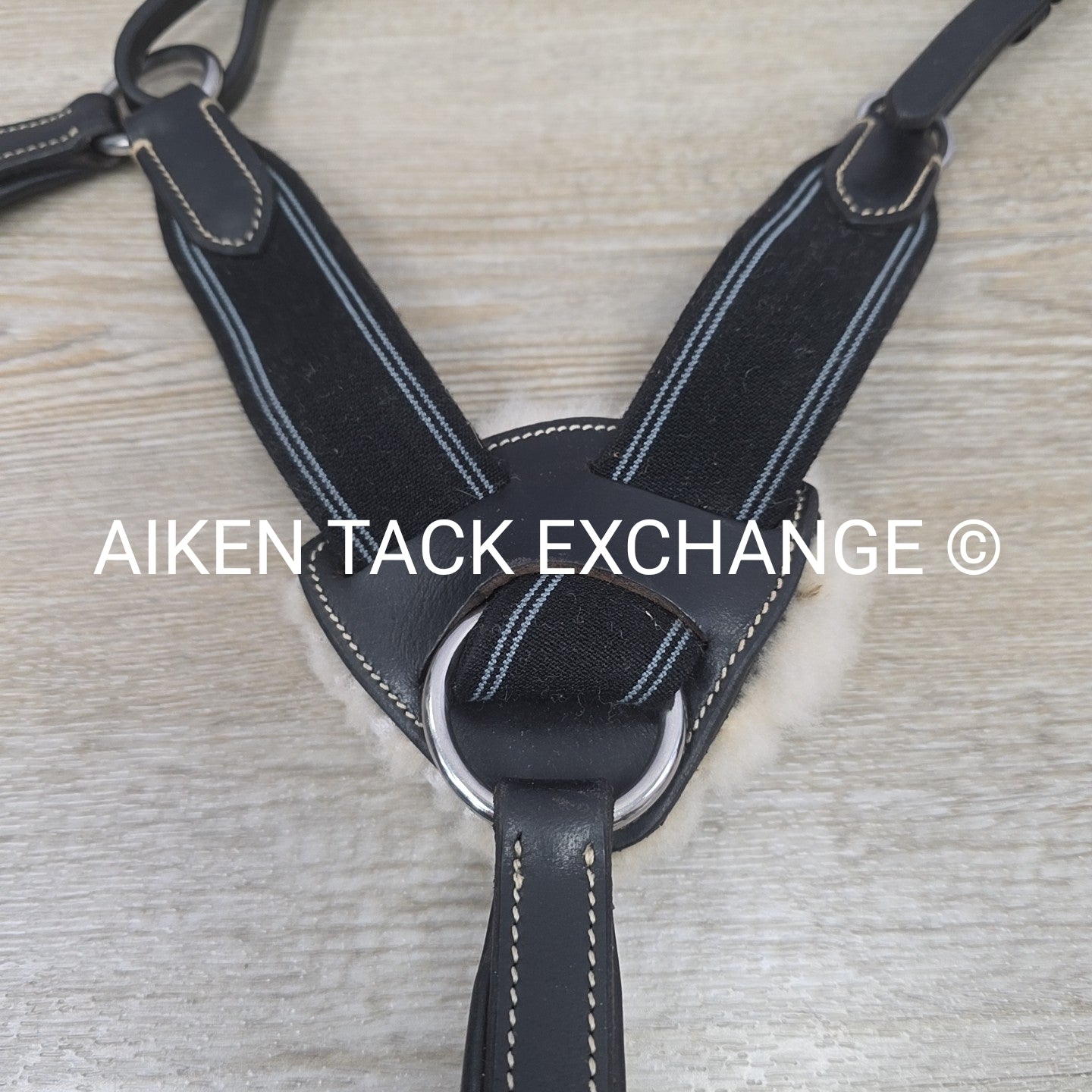 5 Point Elastic Breastplate with Running Martingale Attachment, Black, Size Pony