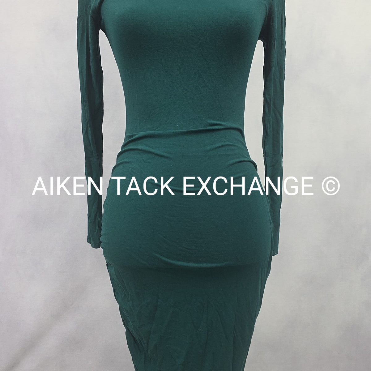 Venus Long Sleeve Dress, Size X-Small