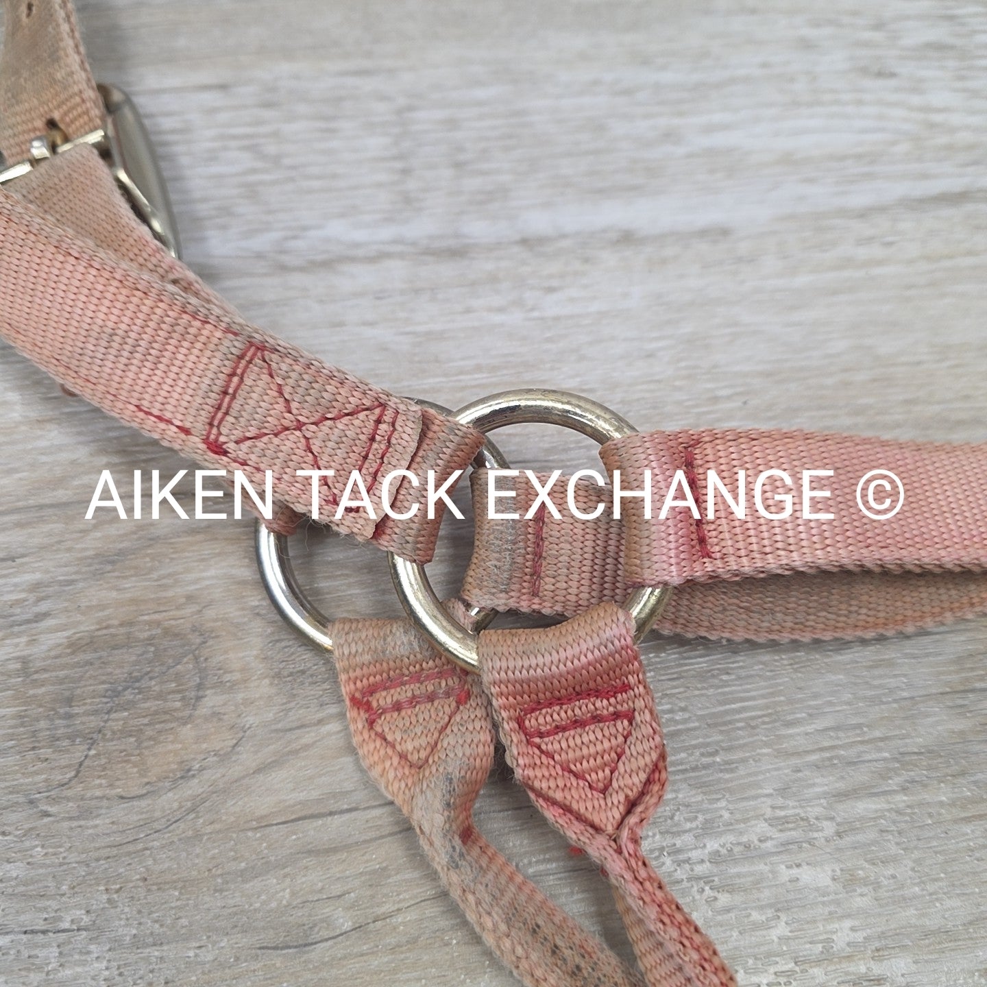 BARGAIN BUNDLE: Nylon Halter, Size Small with Lead Rope