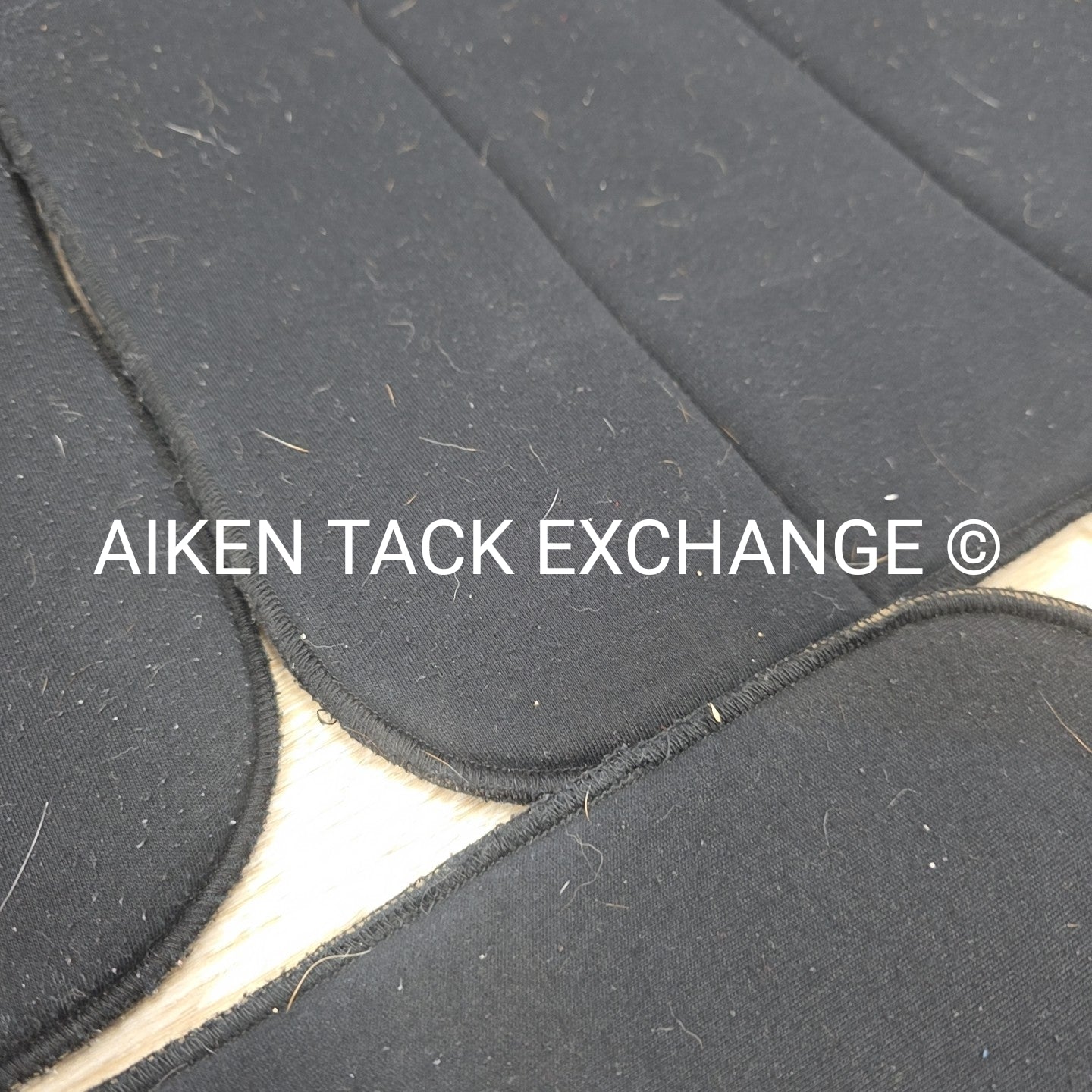 Back on Track Therapeutic No-Bow Wraps, Set of 4, 14" & 16"