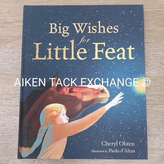 Big Wishes for Little Feat by Cheryl Olsten